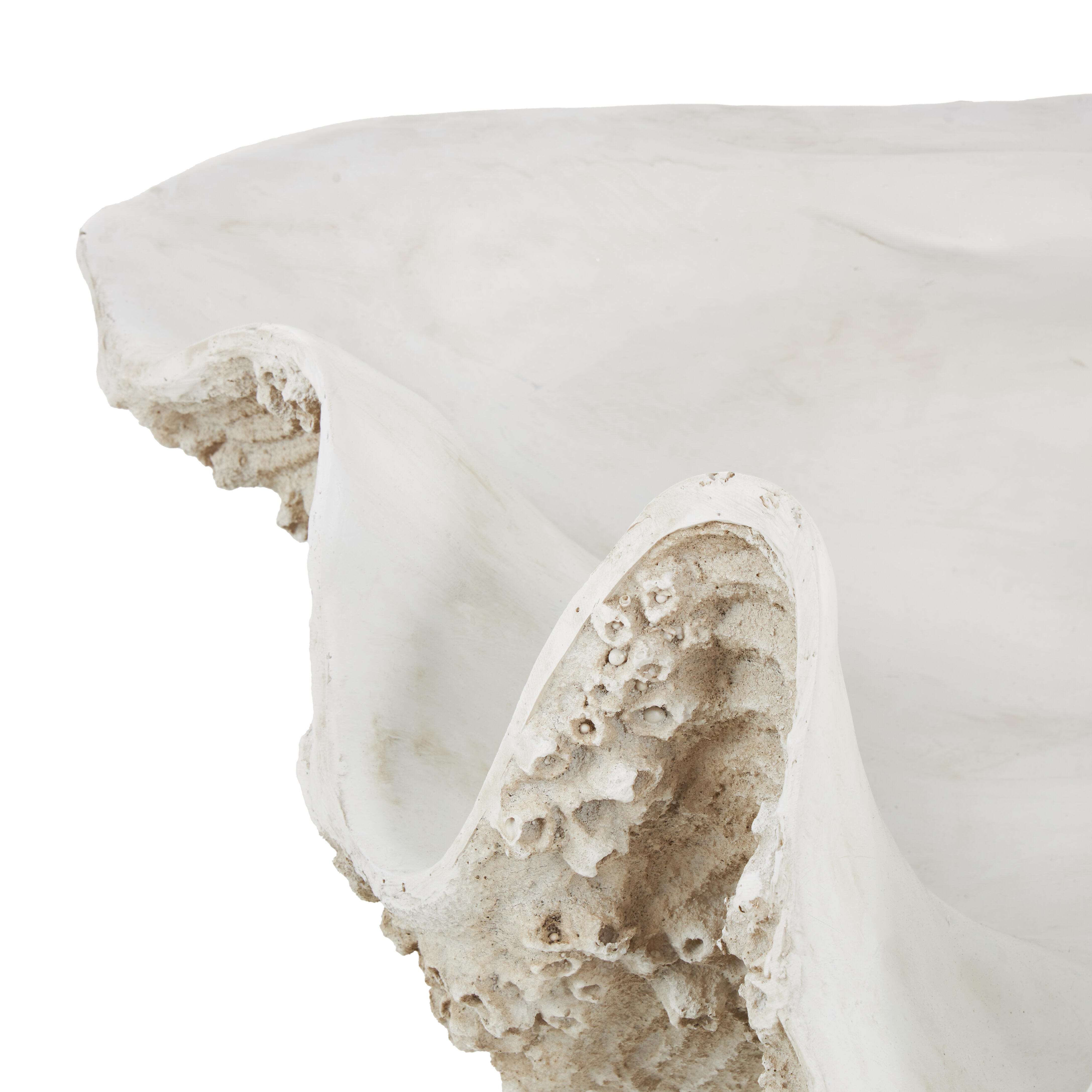 Bayberry Lane Decorative Shell Textured Sculpture, , large