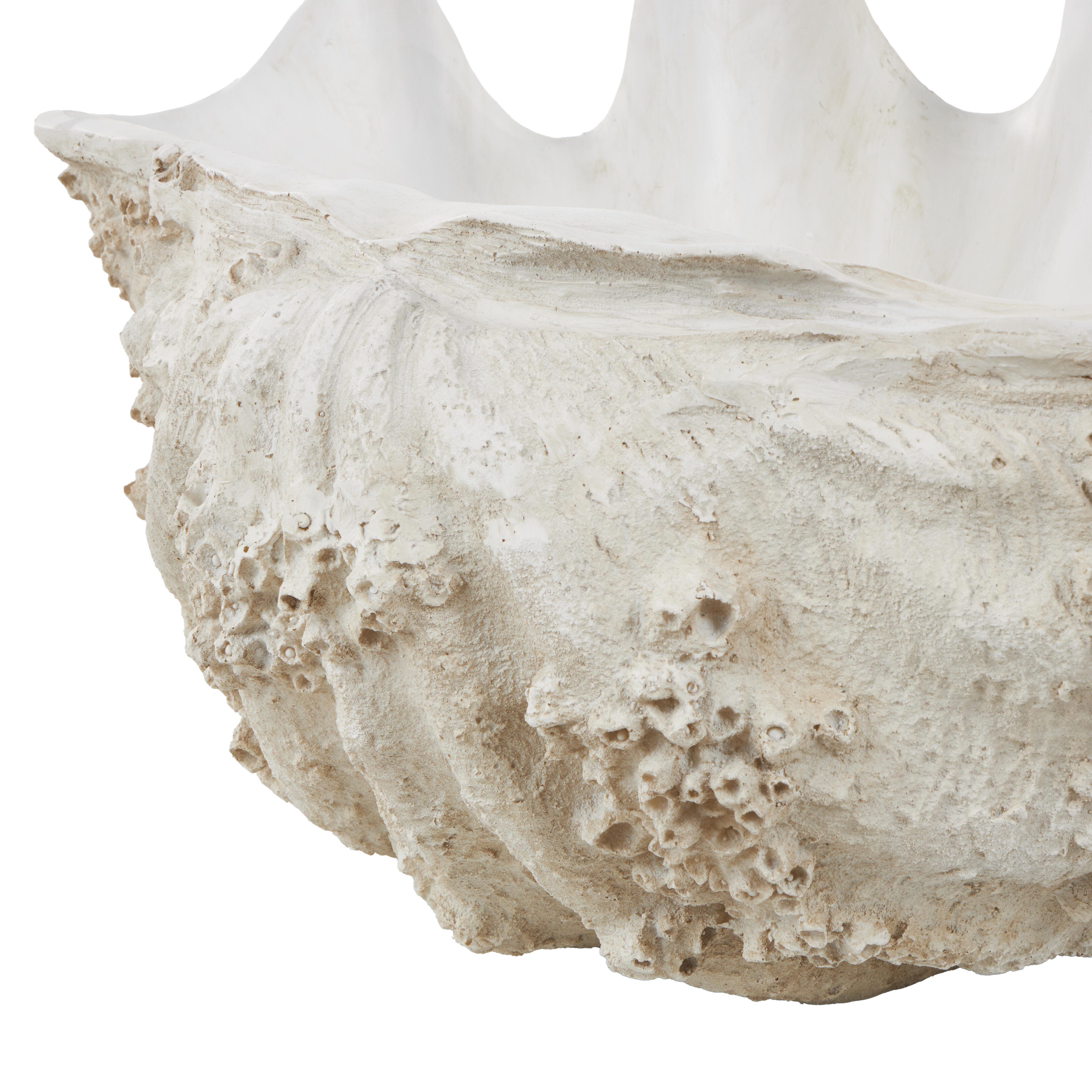 Bayberry Lane Decorative Shell Textured Sculpture, , large