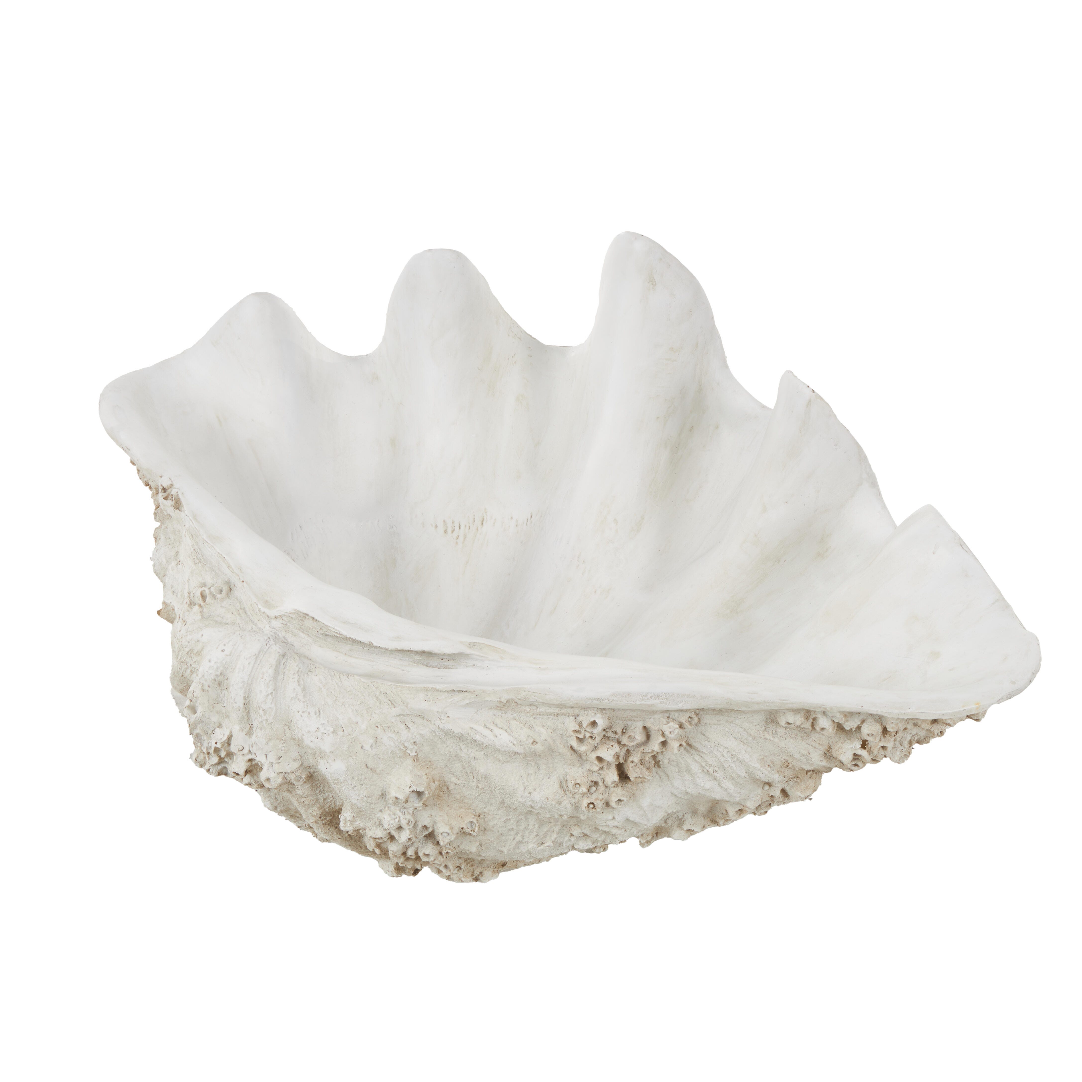 Bayberry Lane Decorative Shell Textured Sculpture, , large