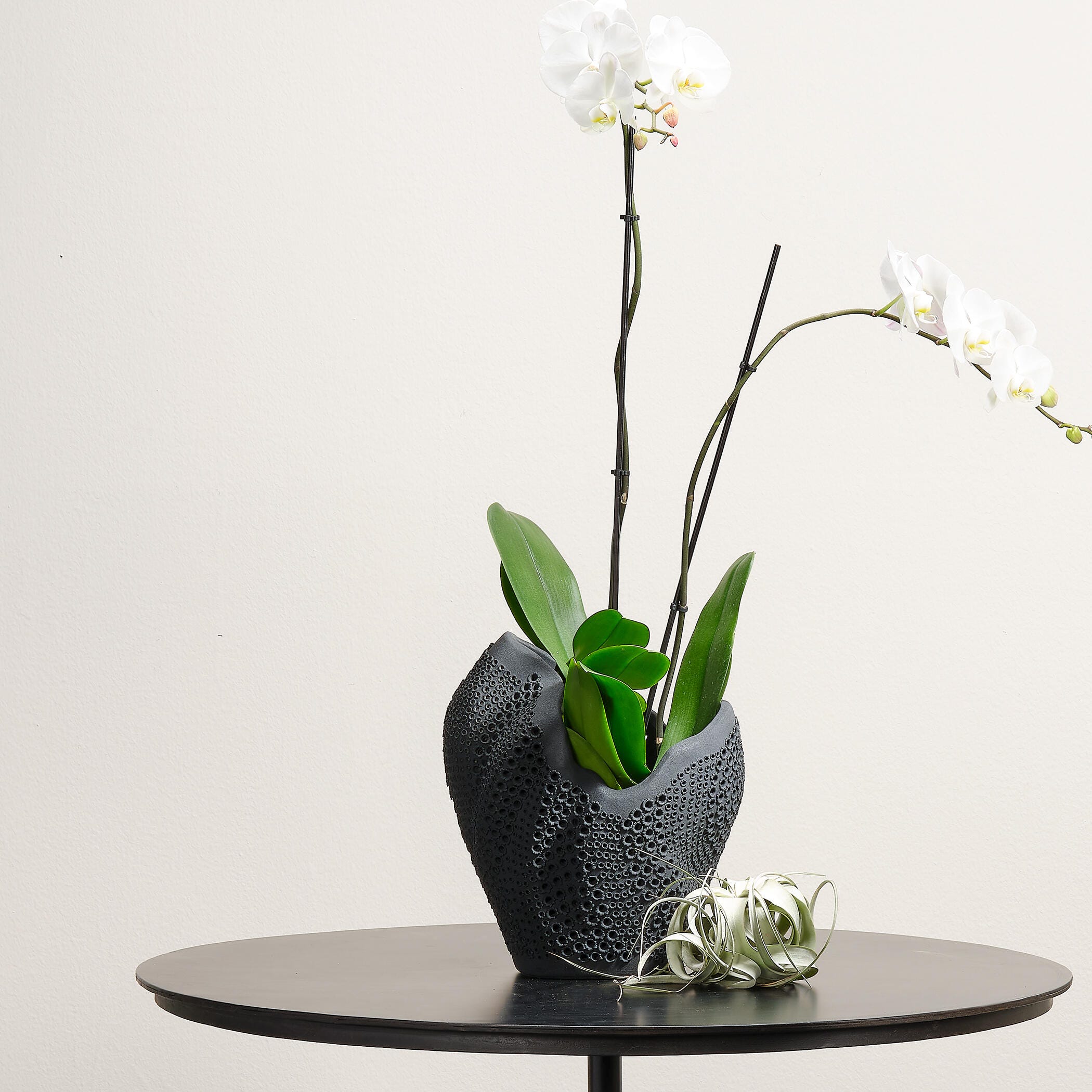 Relaxed Elegance Celeste Vase, Black, large