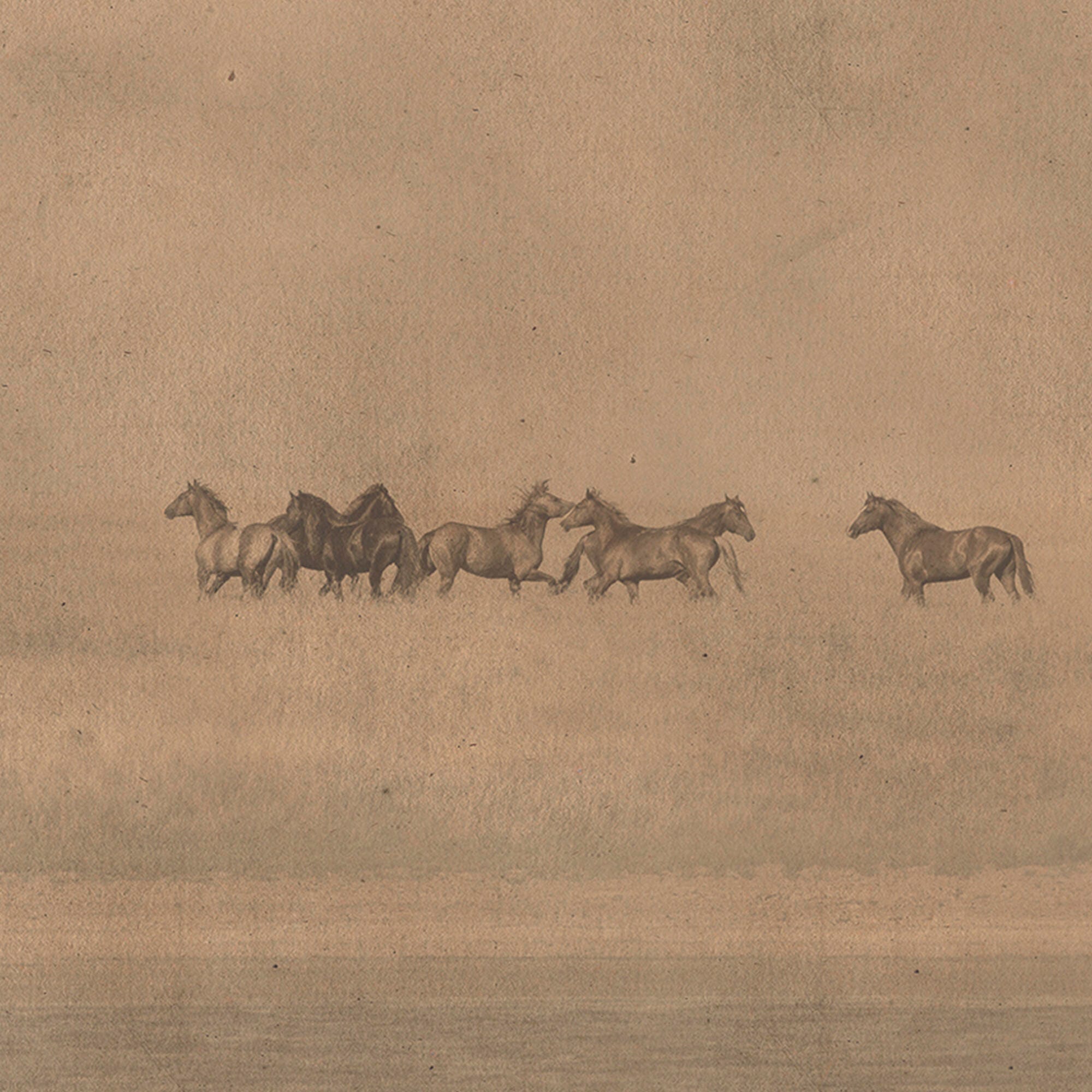 Ashley Luxe Herd in the Distance, , large