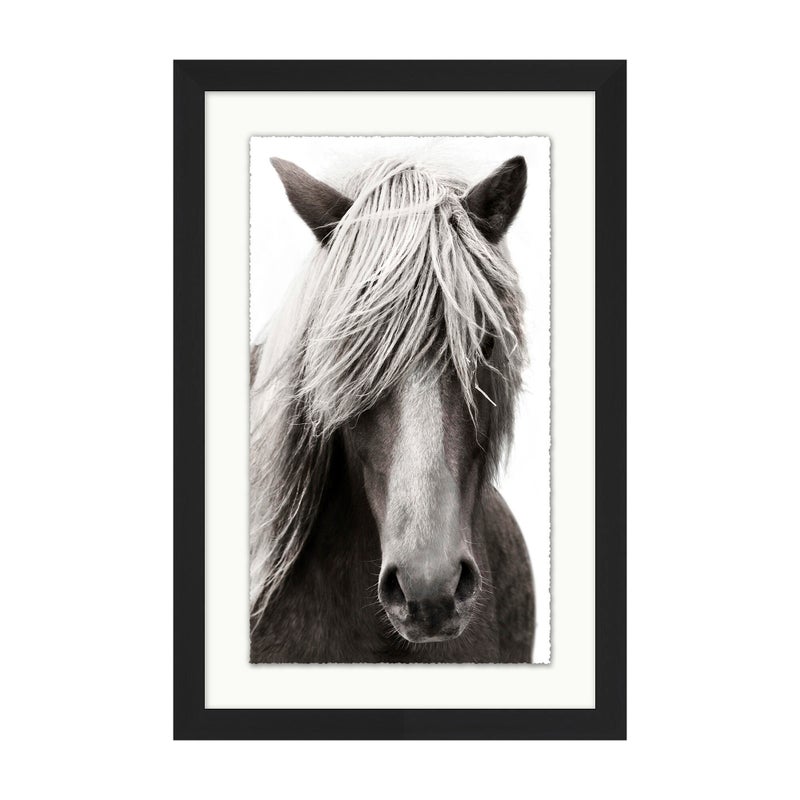Ashley Luxe Horse Portrait