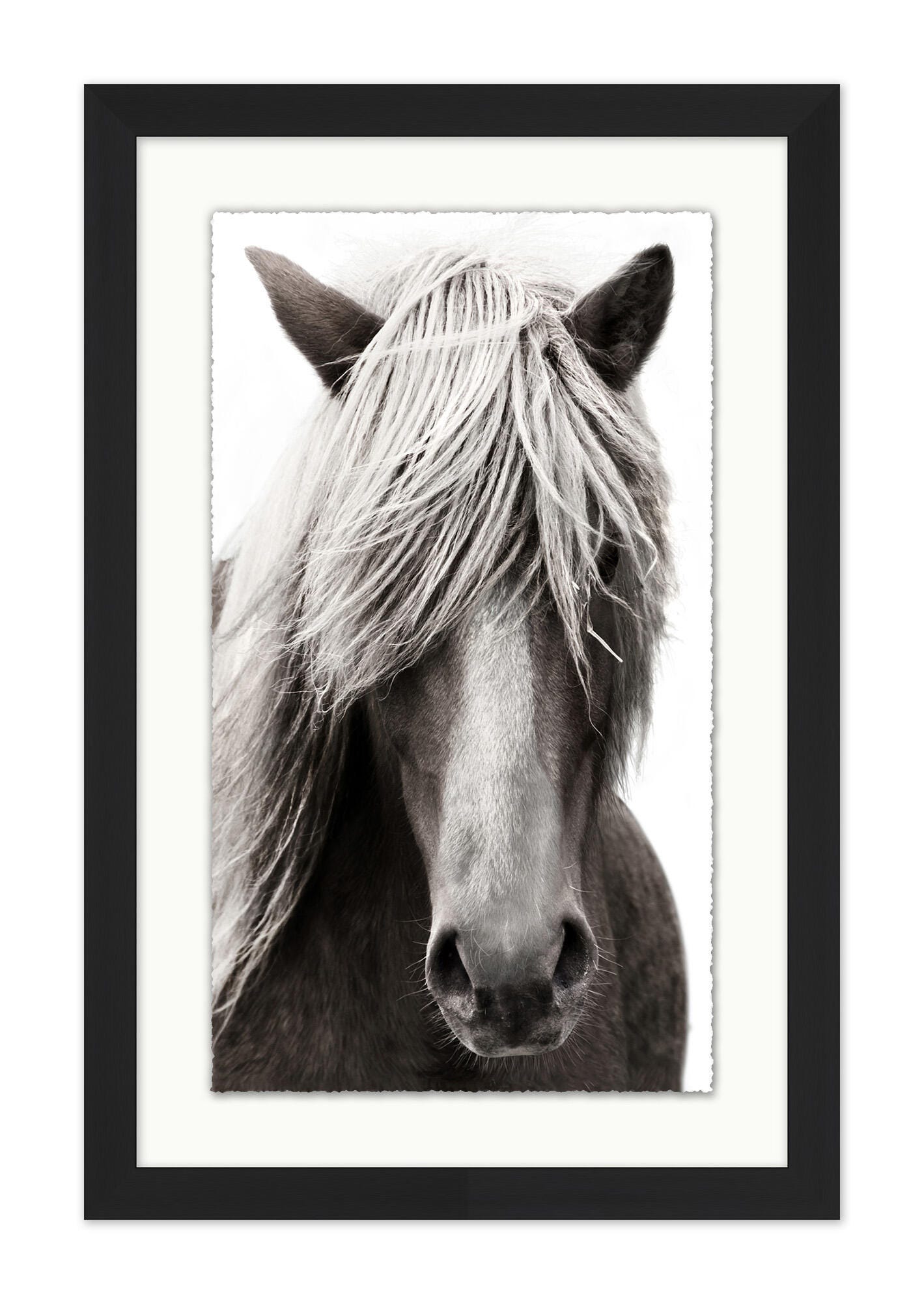 Ashley Luxe The Stare, , large