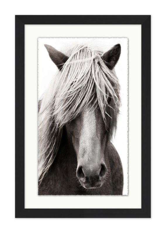 Ashley Luxe Horse Portrait, Black