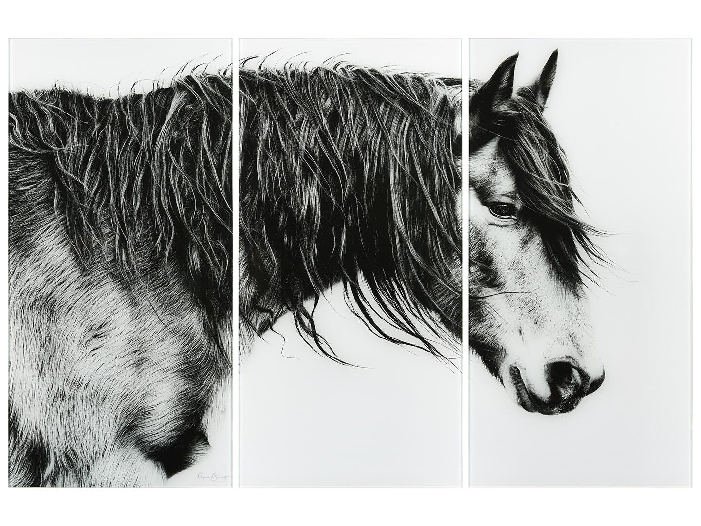 Empire Art Direct Horse Portrait III Wall Art 72" x 108" (Set of 3), , large