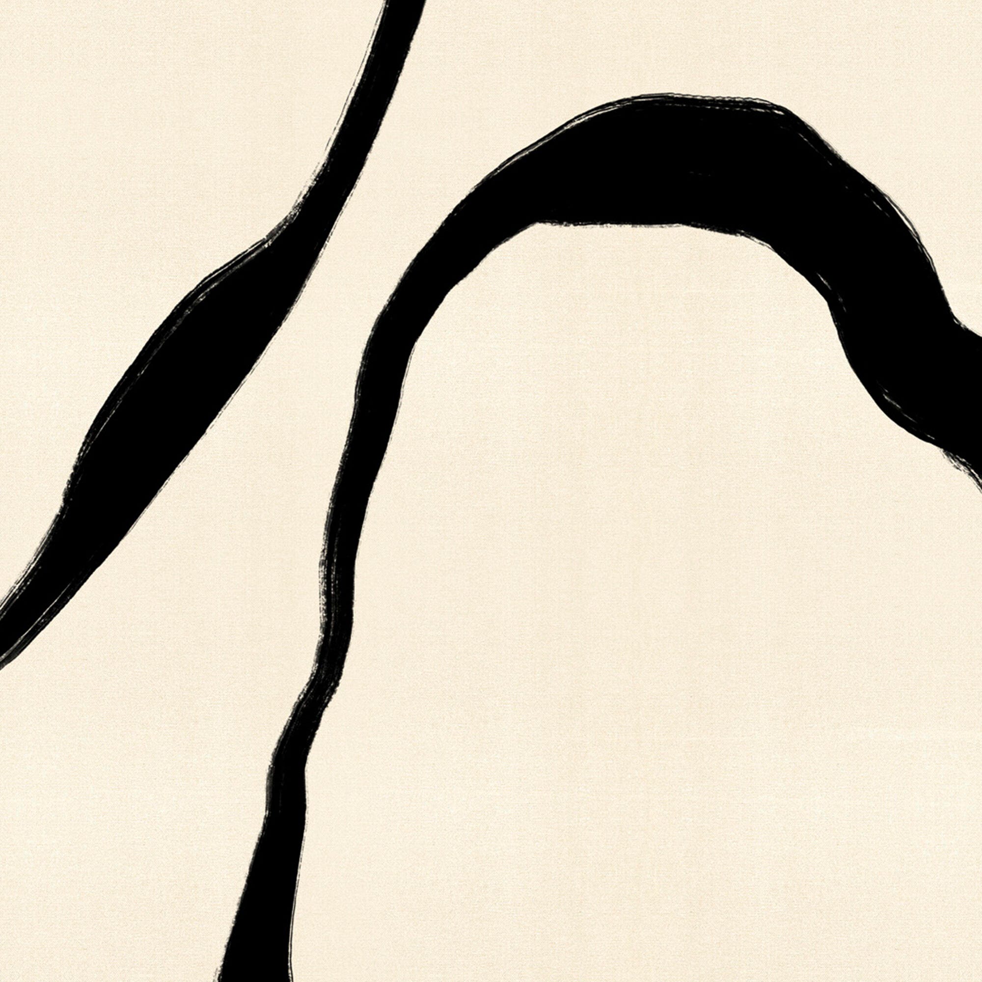 Ashley Luxe Ribbon In Contrast 1, , large
