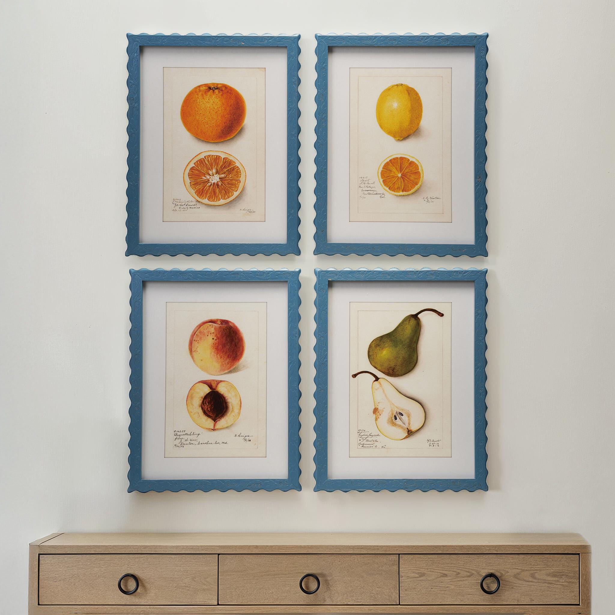 Storied Home Fruit Wall Art 16" X 21" (Set of 4), , rollover