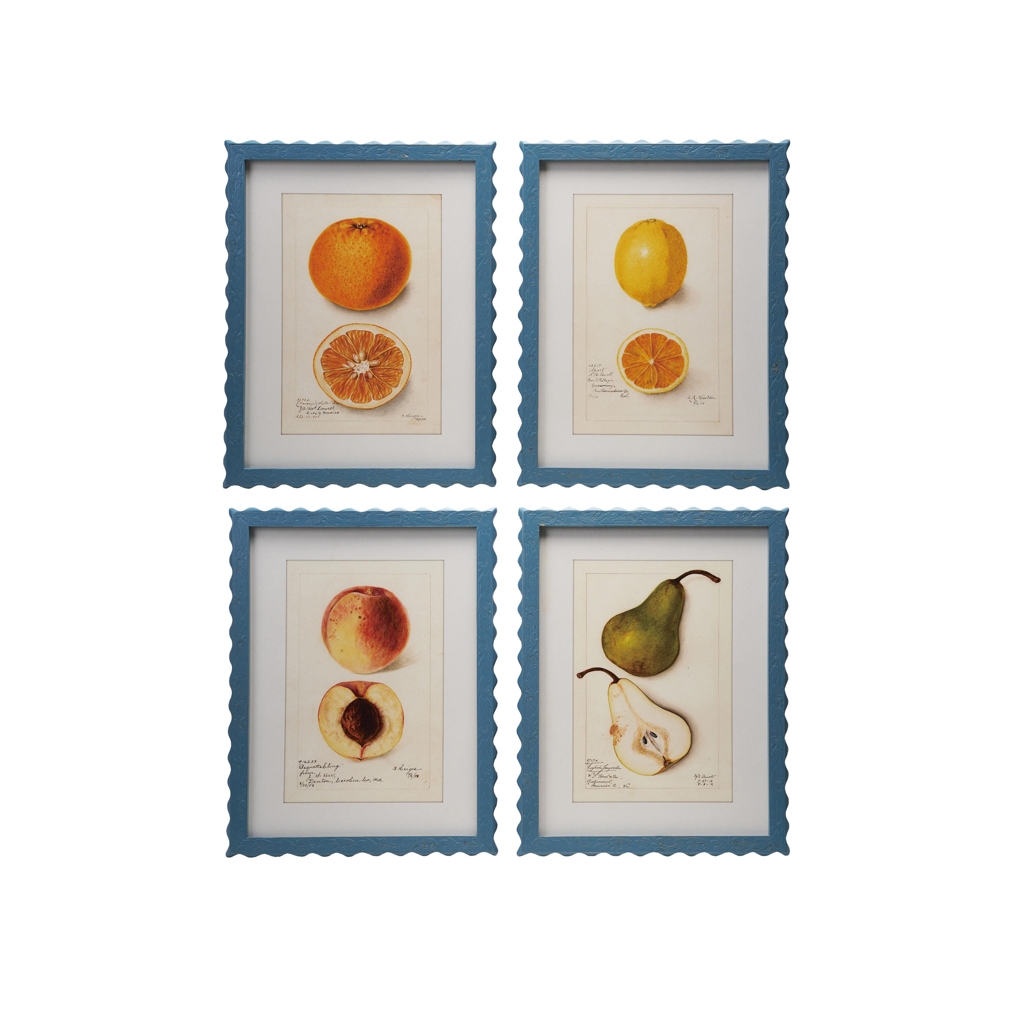 Storied Home Fruit Wall Art 16" X 21" (Set of 4), , large