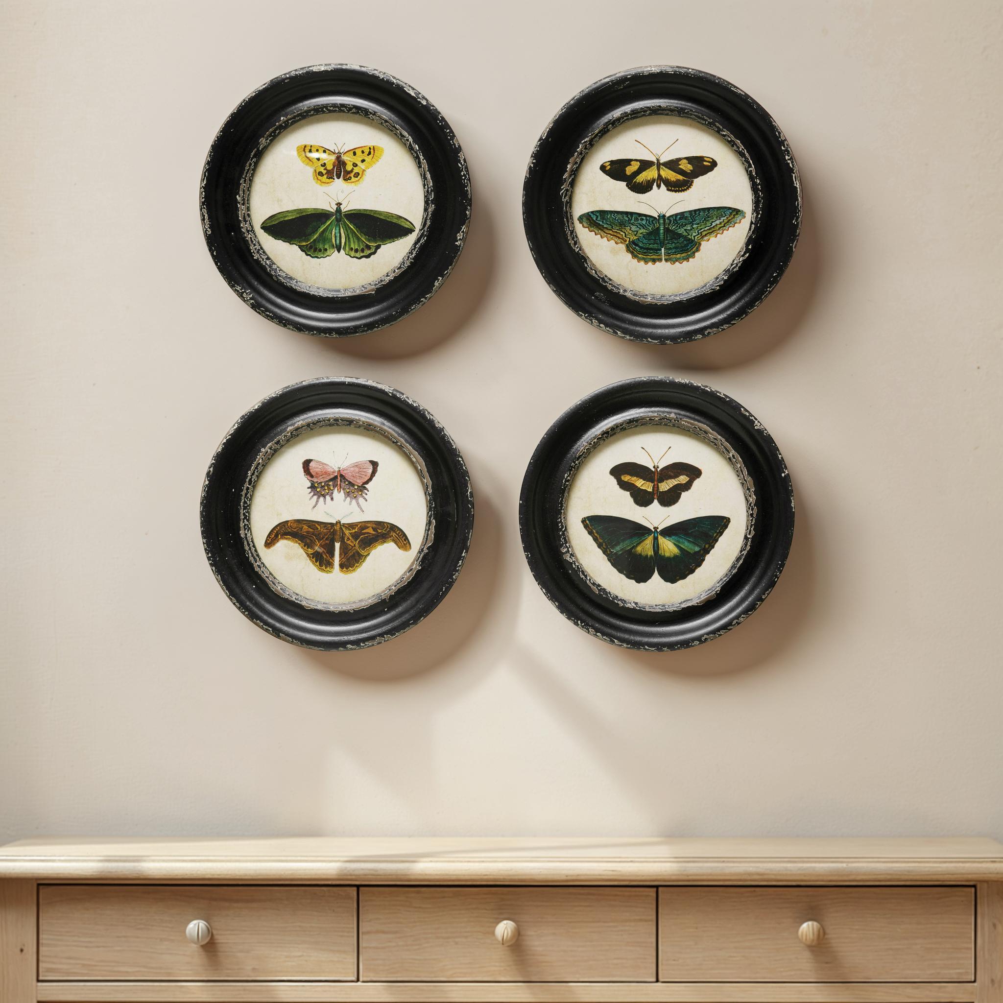 Storied Home Moth and Butterfly Wall Decor (Set of 4), , rollover