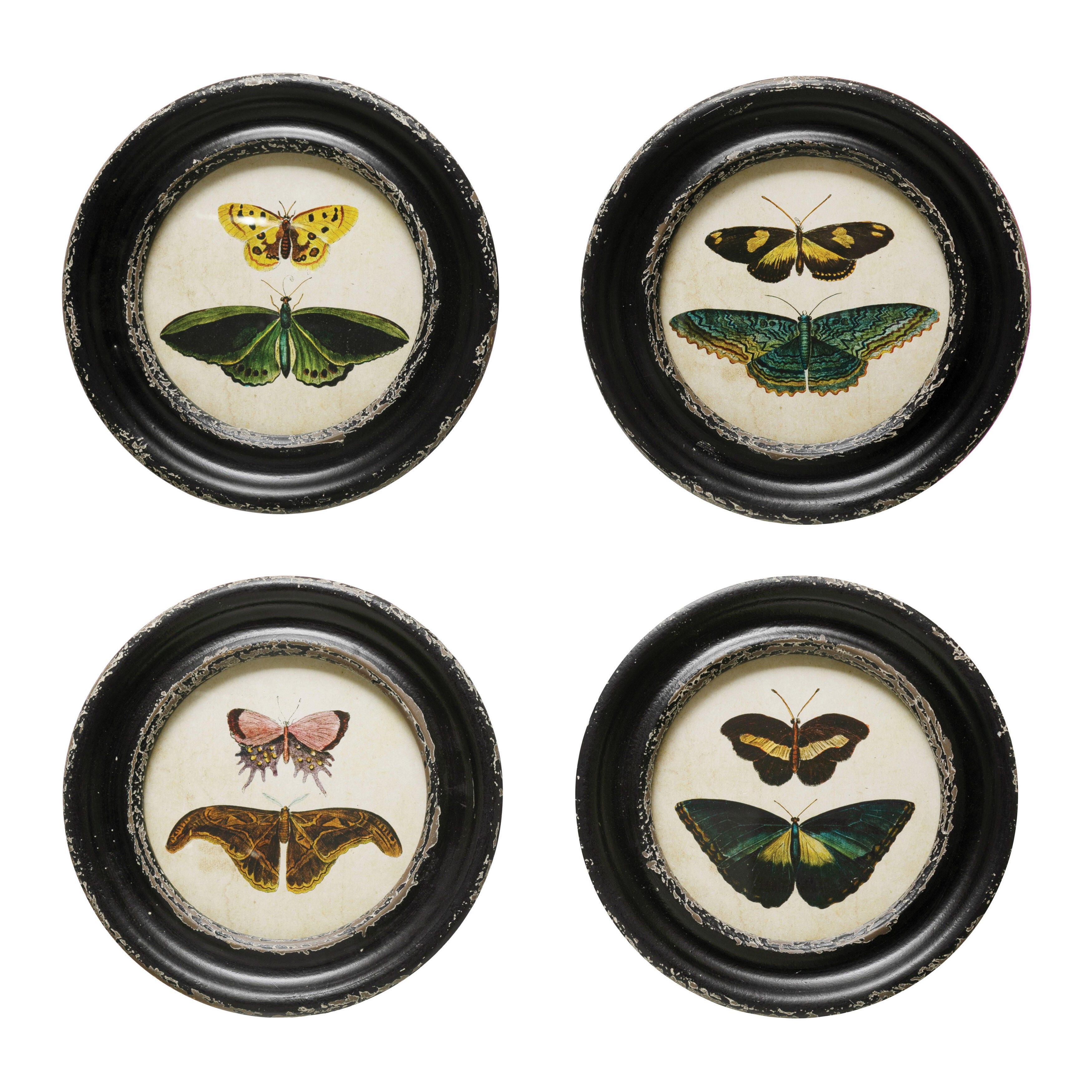 Storied Home Moth and Butterfly Wall Decor (Set of 4), , large