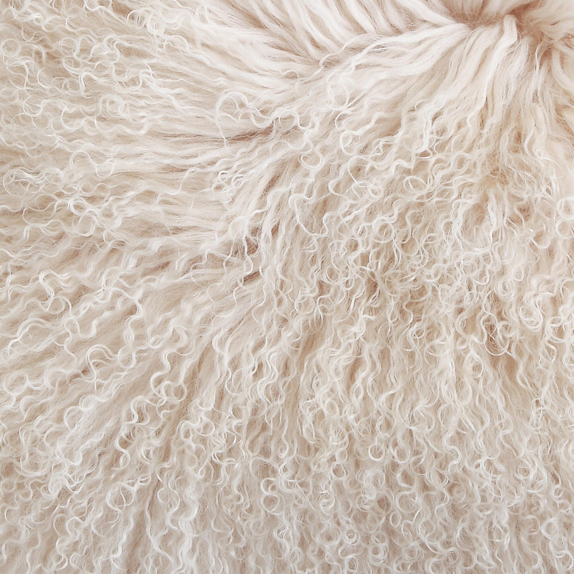 Storied Home Decorative Throw Pillow, , swatch