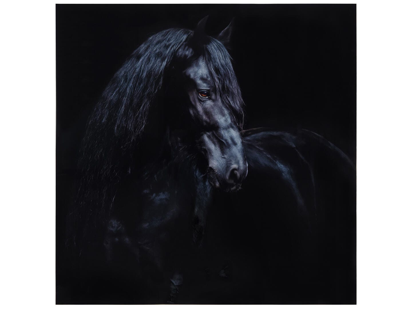 Empire Art Direct Equine Wall Art 38" x 38", , large