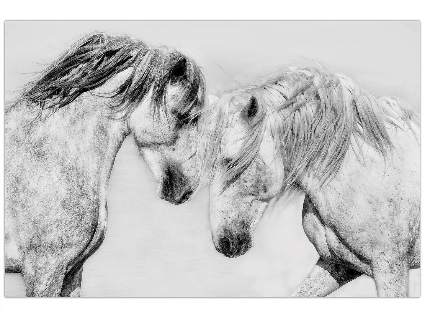 Empire Art Direct Caballo Wall Art 32" x 48", , large