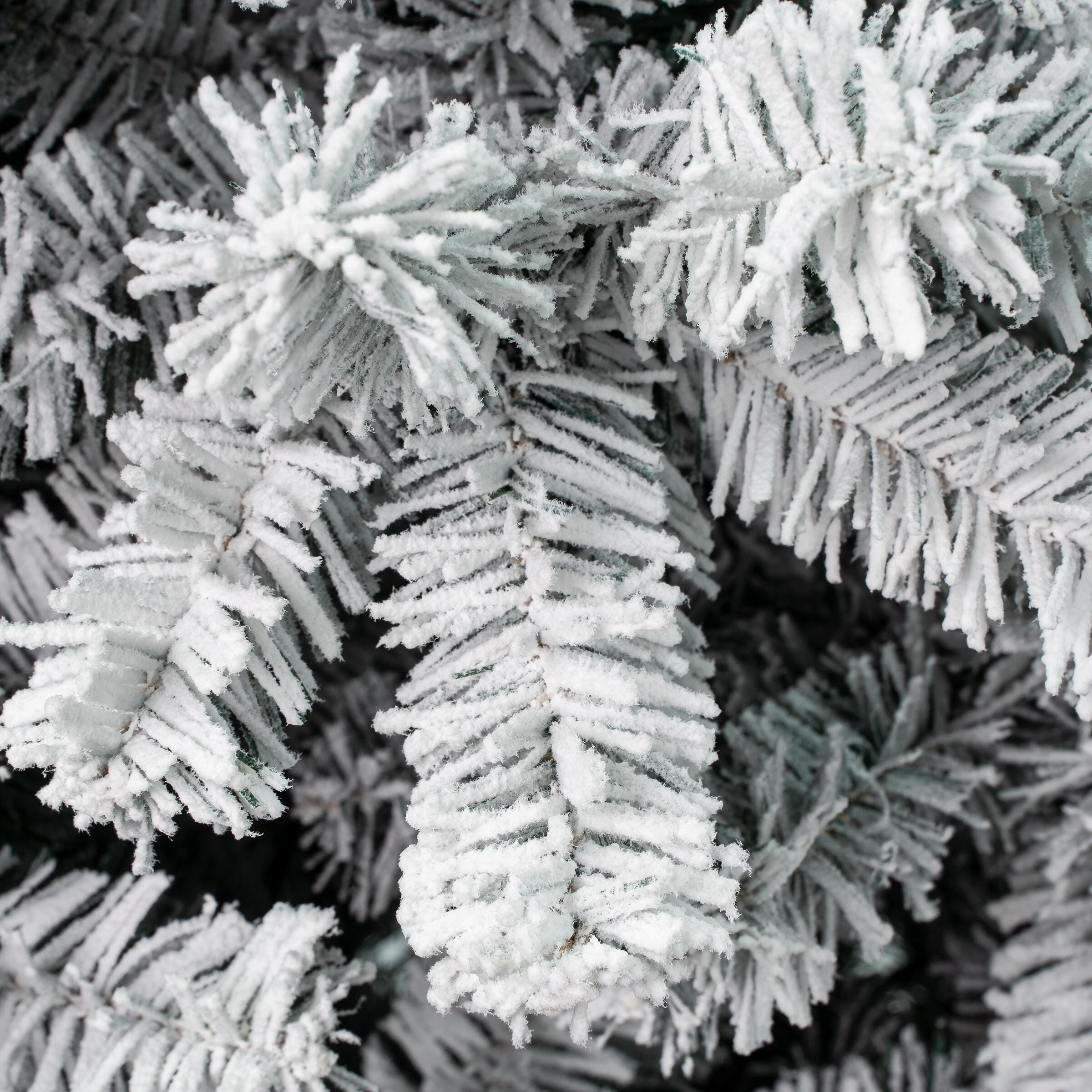 National Tree Company 4.5' Flocked Acacia Artificial Christmas Tree, , large