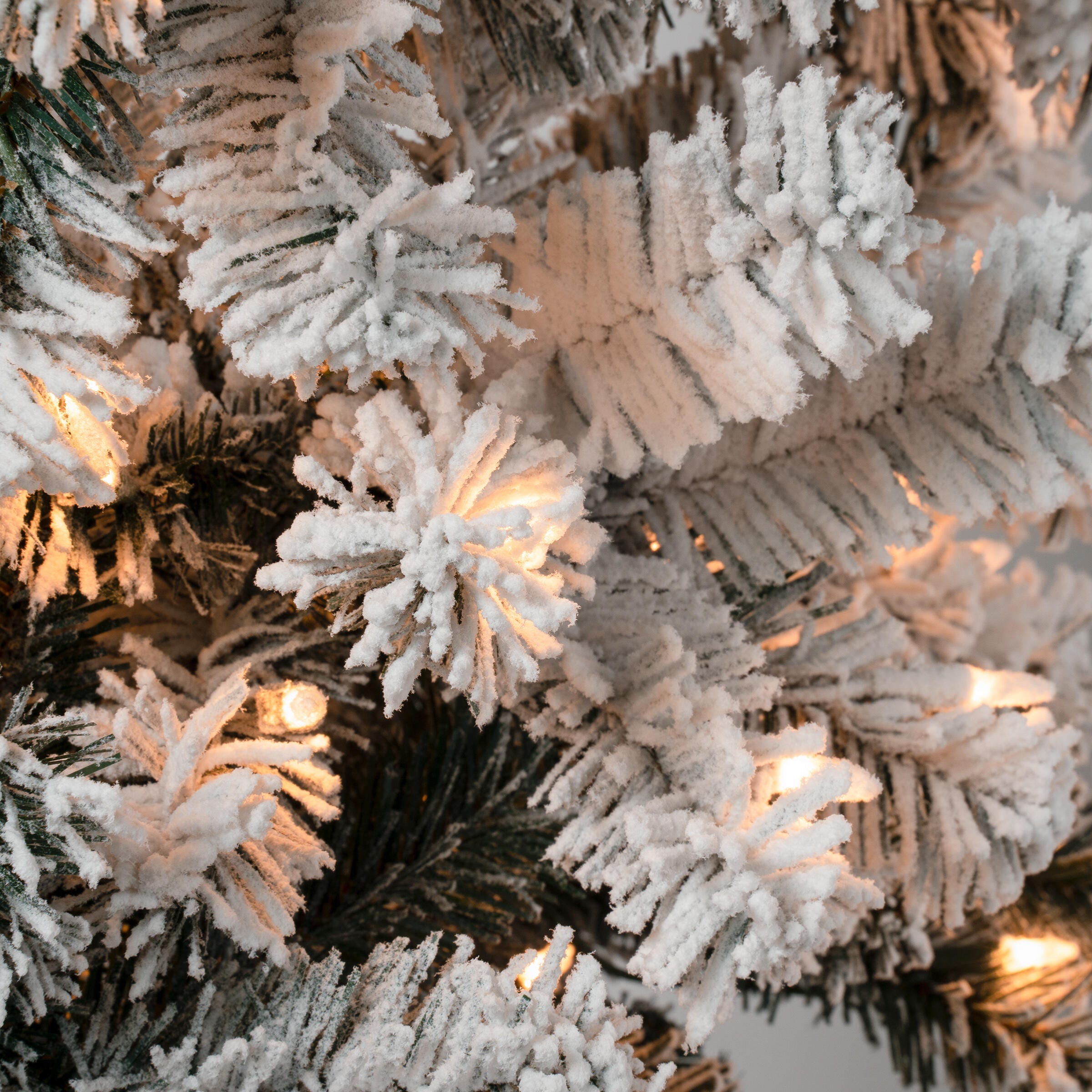 National Tree Company 6' Pencil Slim Flocked Acacia Artificial Christmas Tree, , large