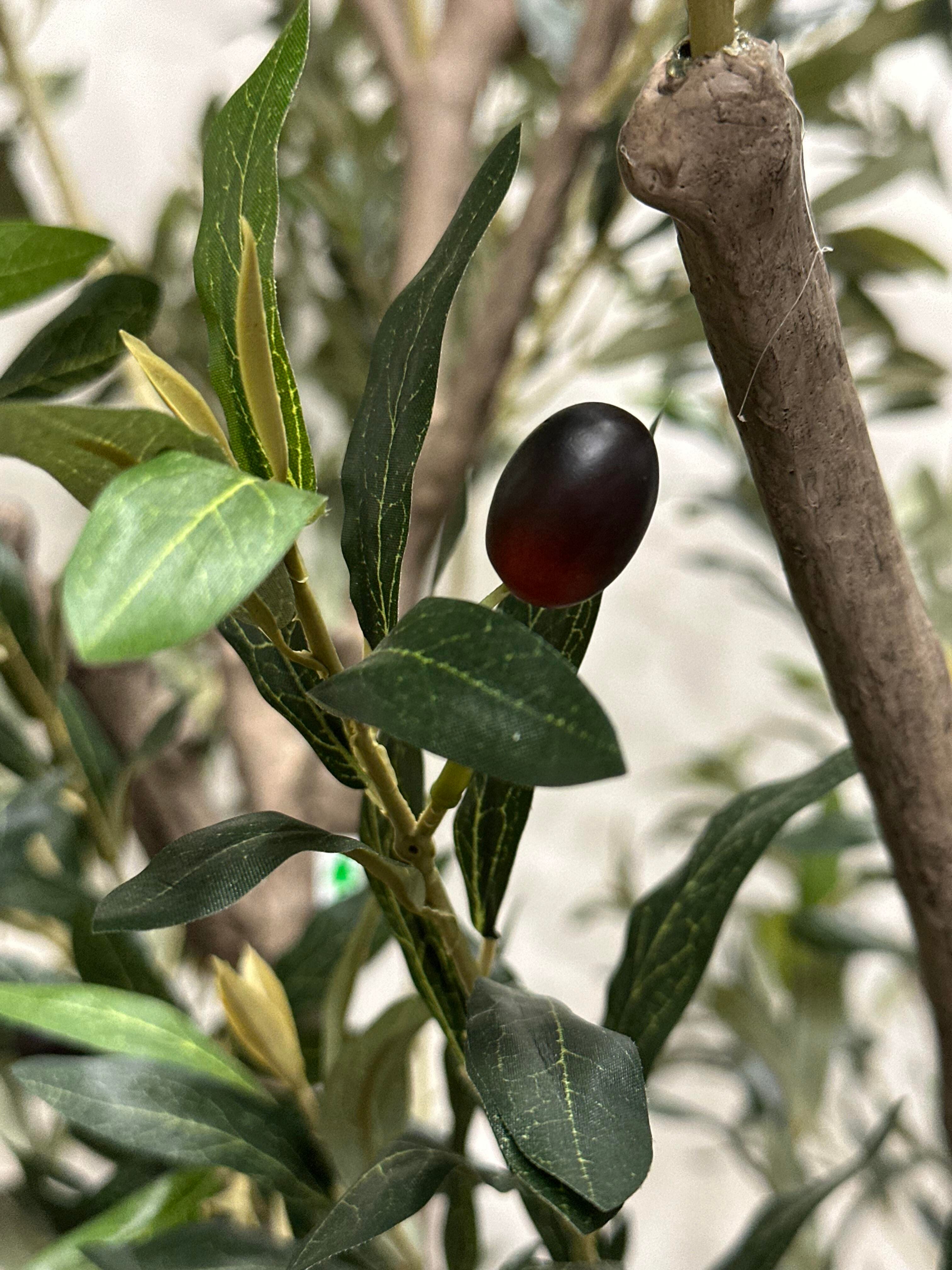 Ashley Luxe Olive Tree - 9'