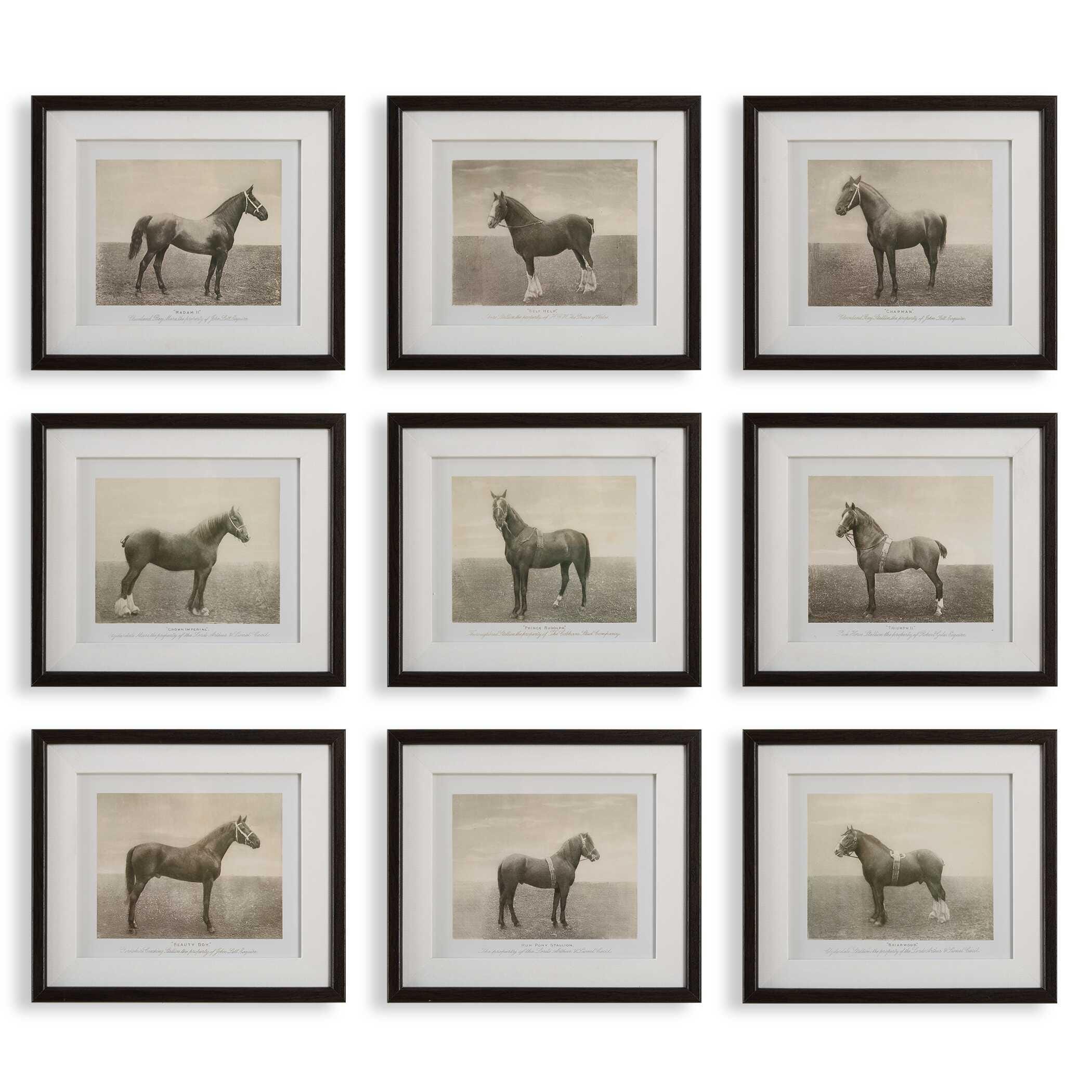 Uttermost Equine Dynasty Wall Art 16 x 14, , large