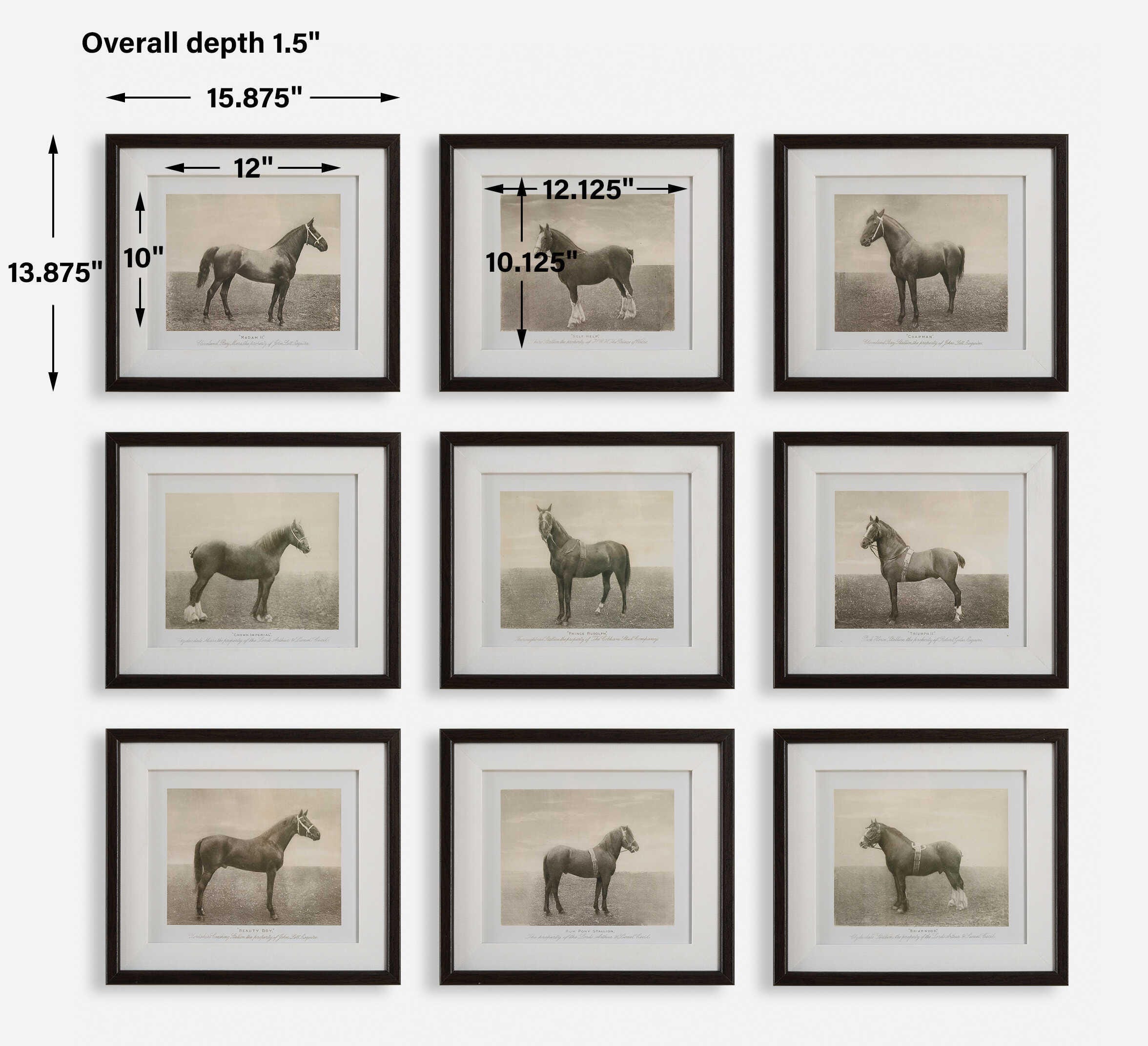 Uttermost Equine Dynasty Wall Art 16 x 14, , large