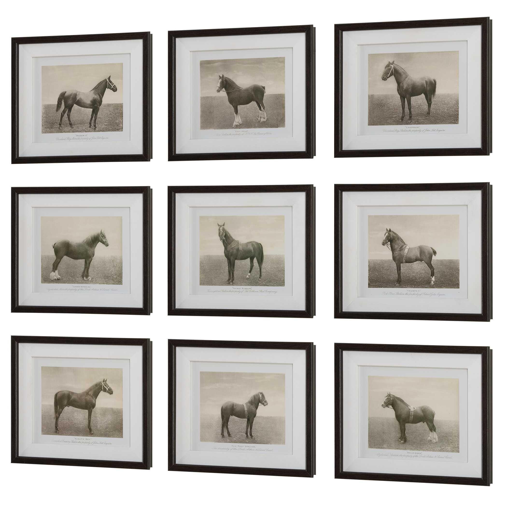 Uttermost Equine Dynasty Wall Art 16 x 14, , large