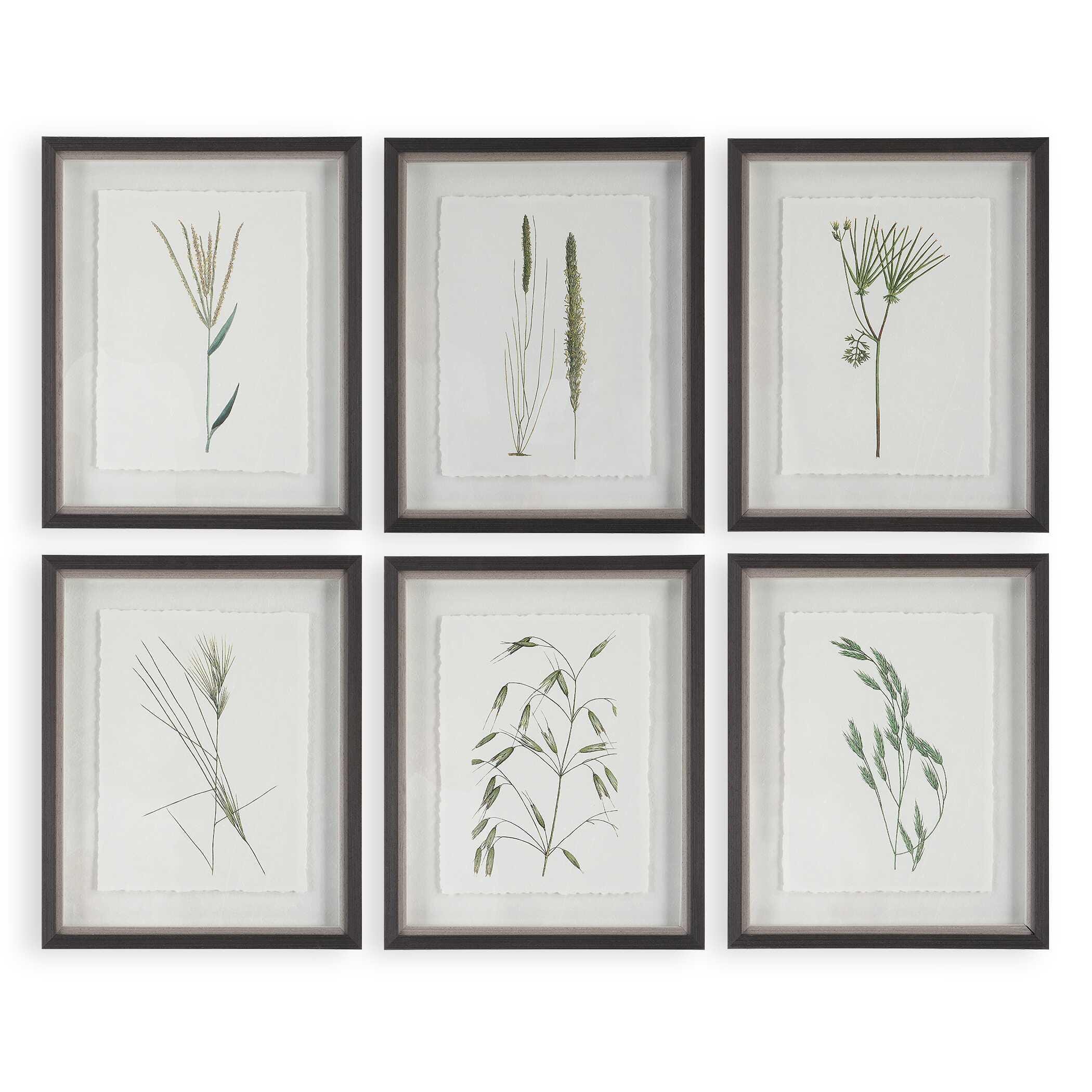 Uttermost Forest Finds Wall Art 18 x 22, , large