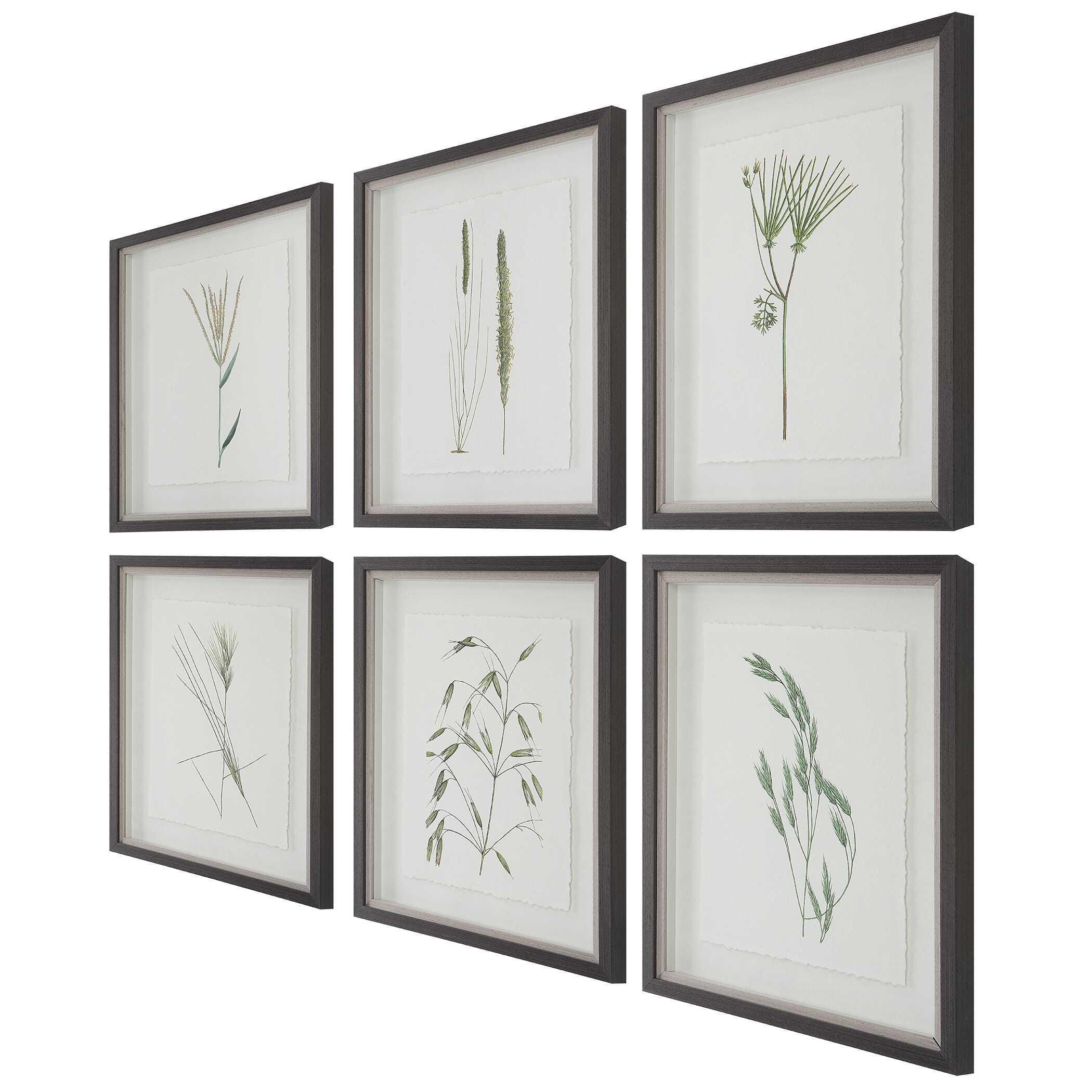 Uttermost Forest Finds Wall Art 18 x 22, , large