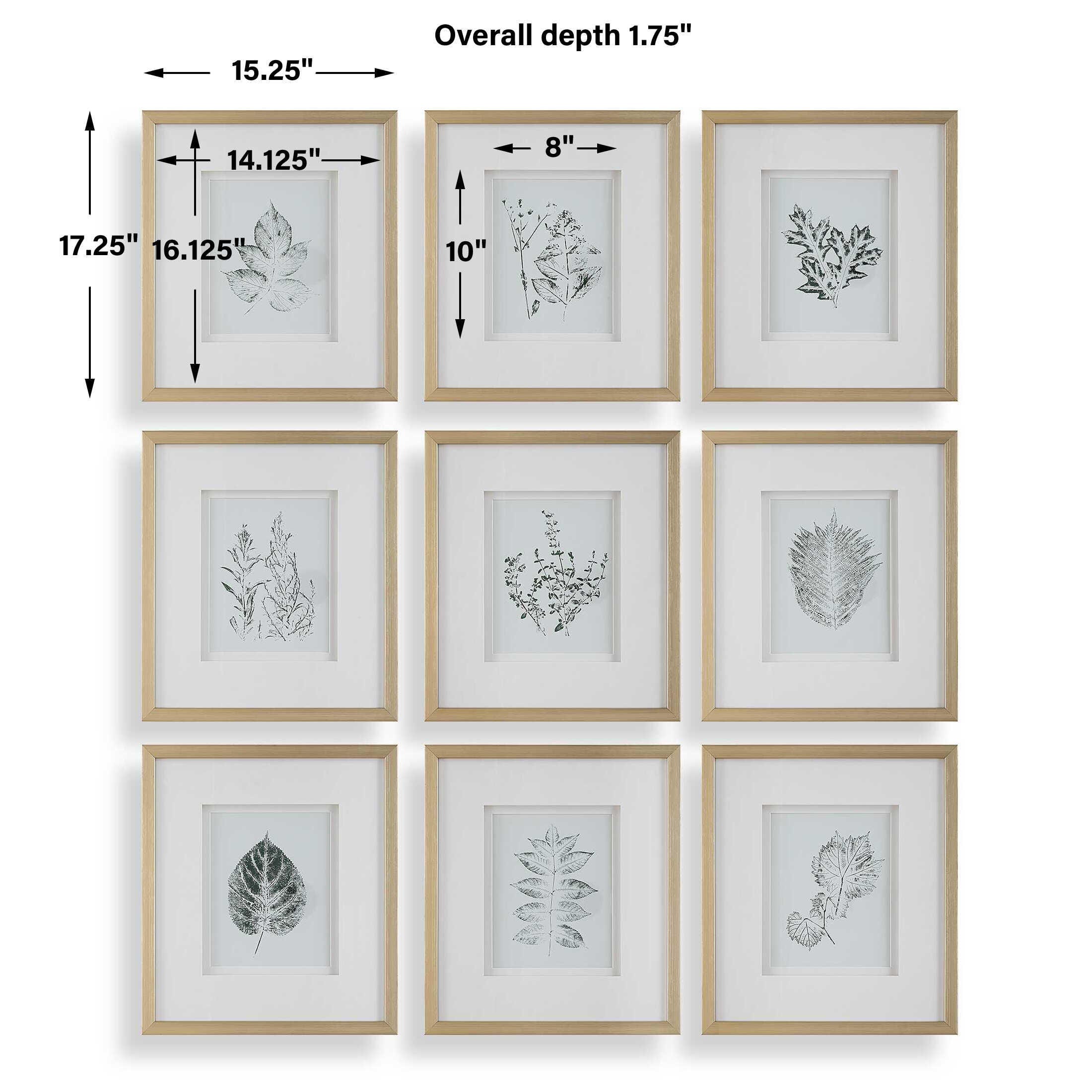 Uttermost Nature's Script Wall Art 15 x 17, , large