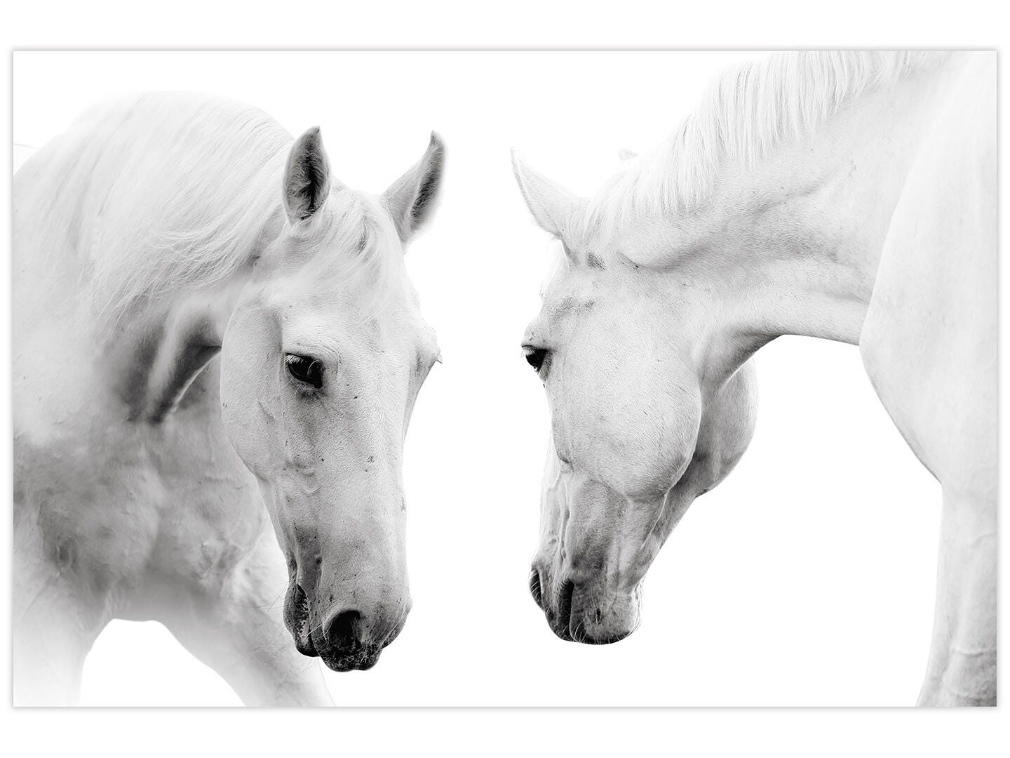 Empire Art Direct Wall Art 32" x 48", , large