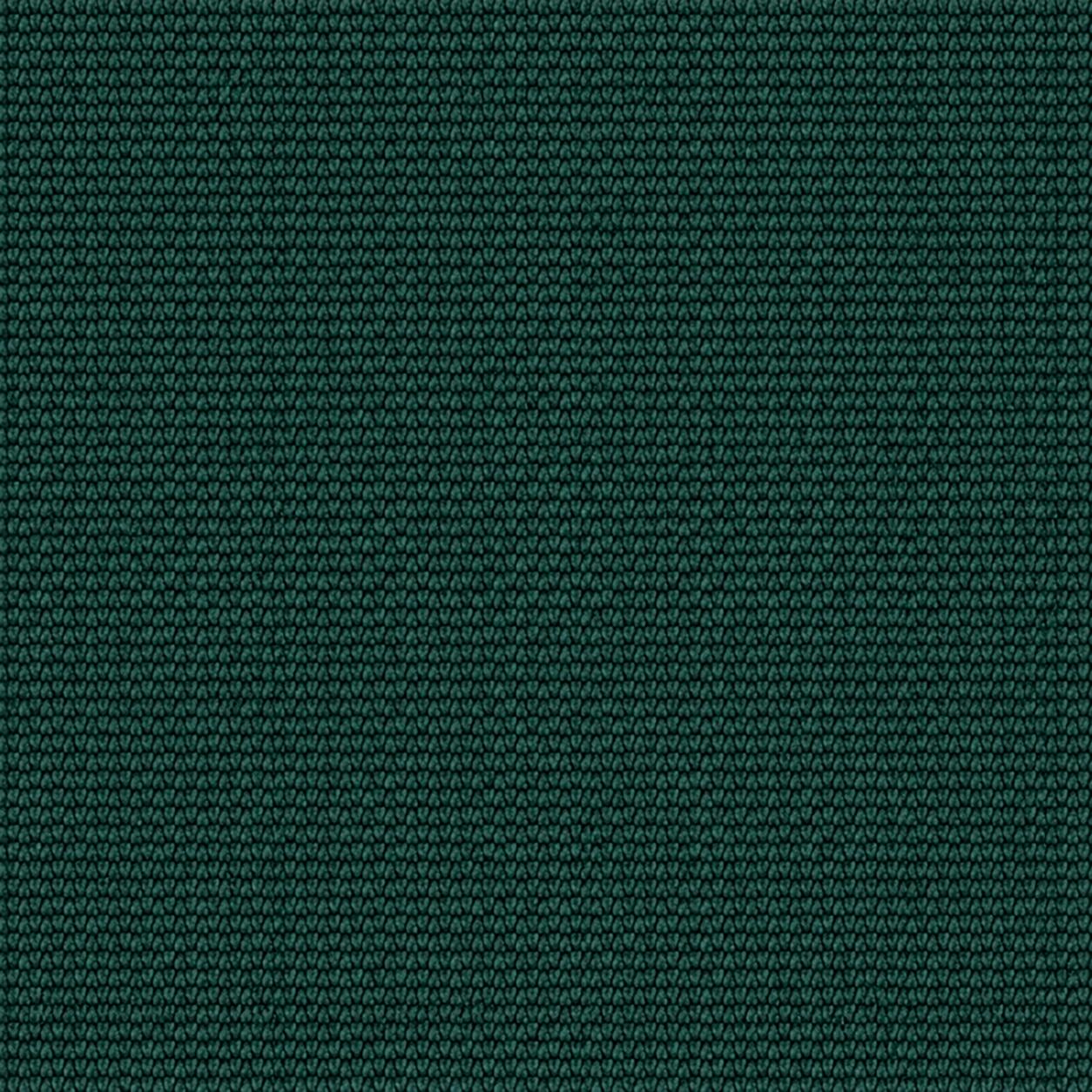 Swatch color Dark Green 