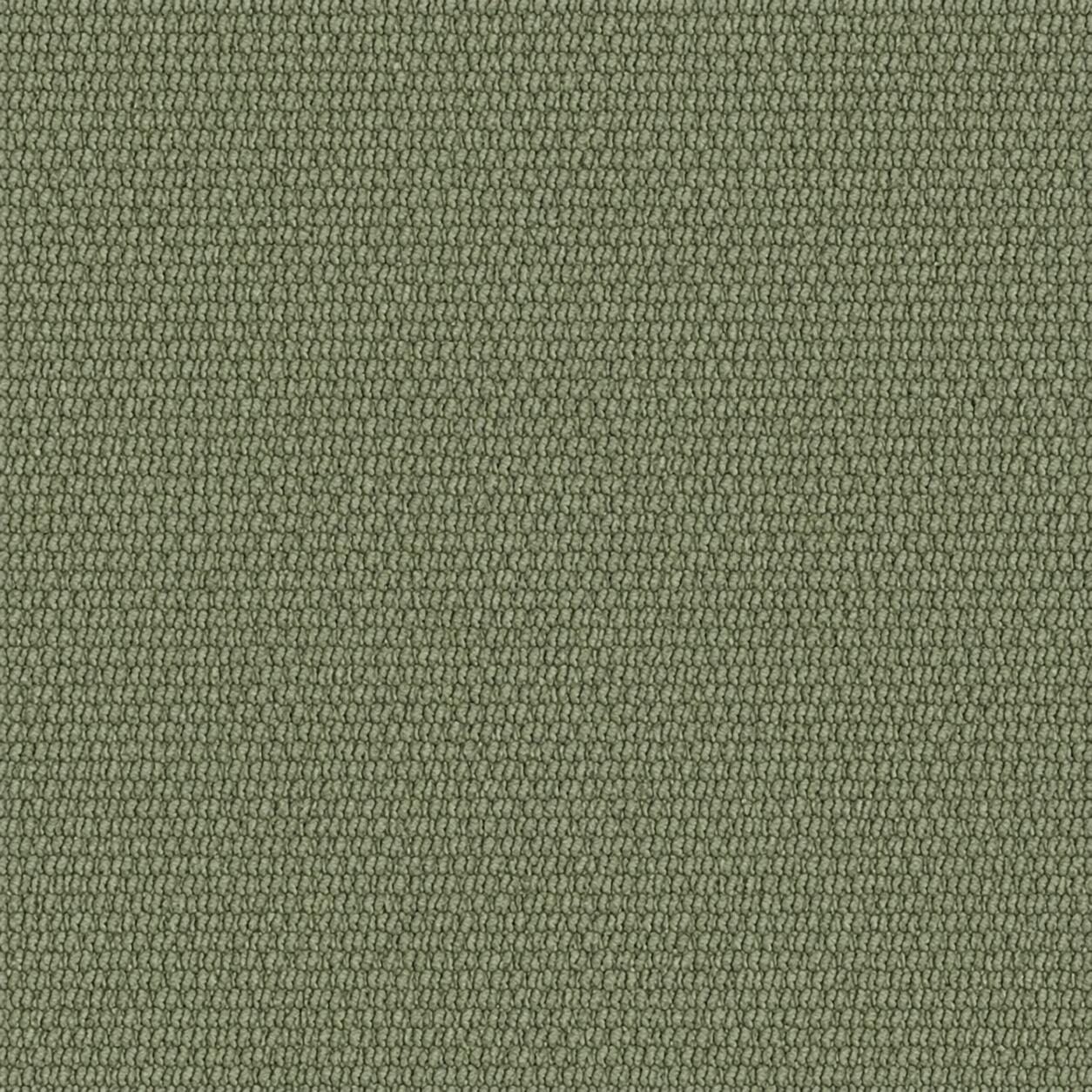 Swatch color Olive Green 