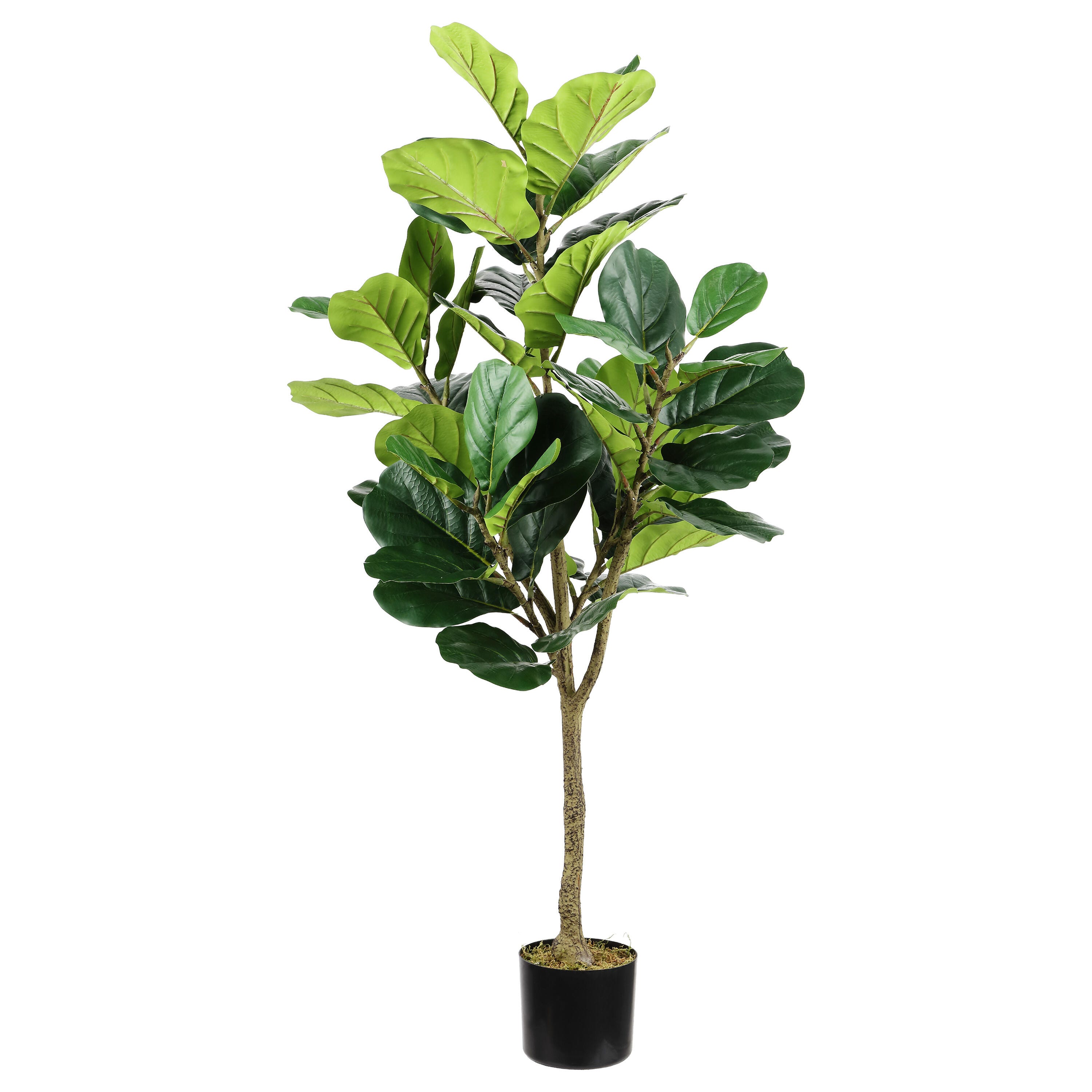 Safavieh Potted Faux Fiddle Fig Tree, , large