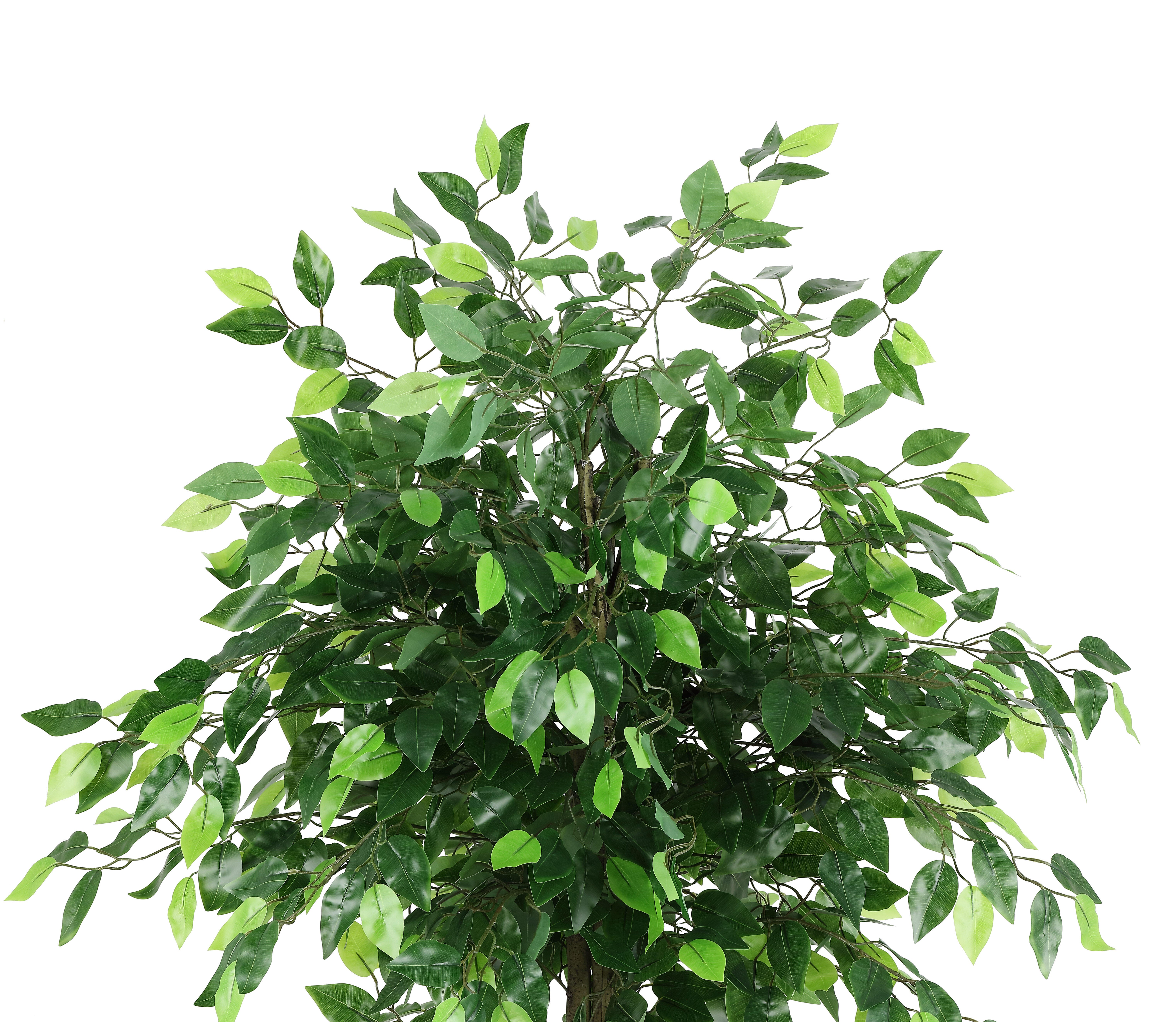 Safavieh Potted Bush Faux Ficus Tree, , large