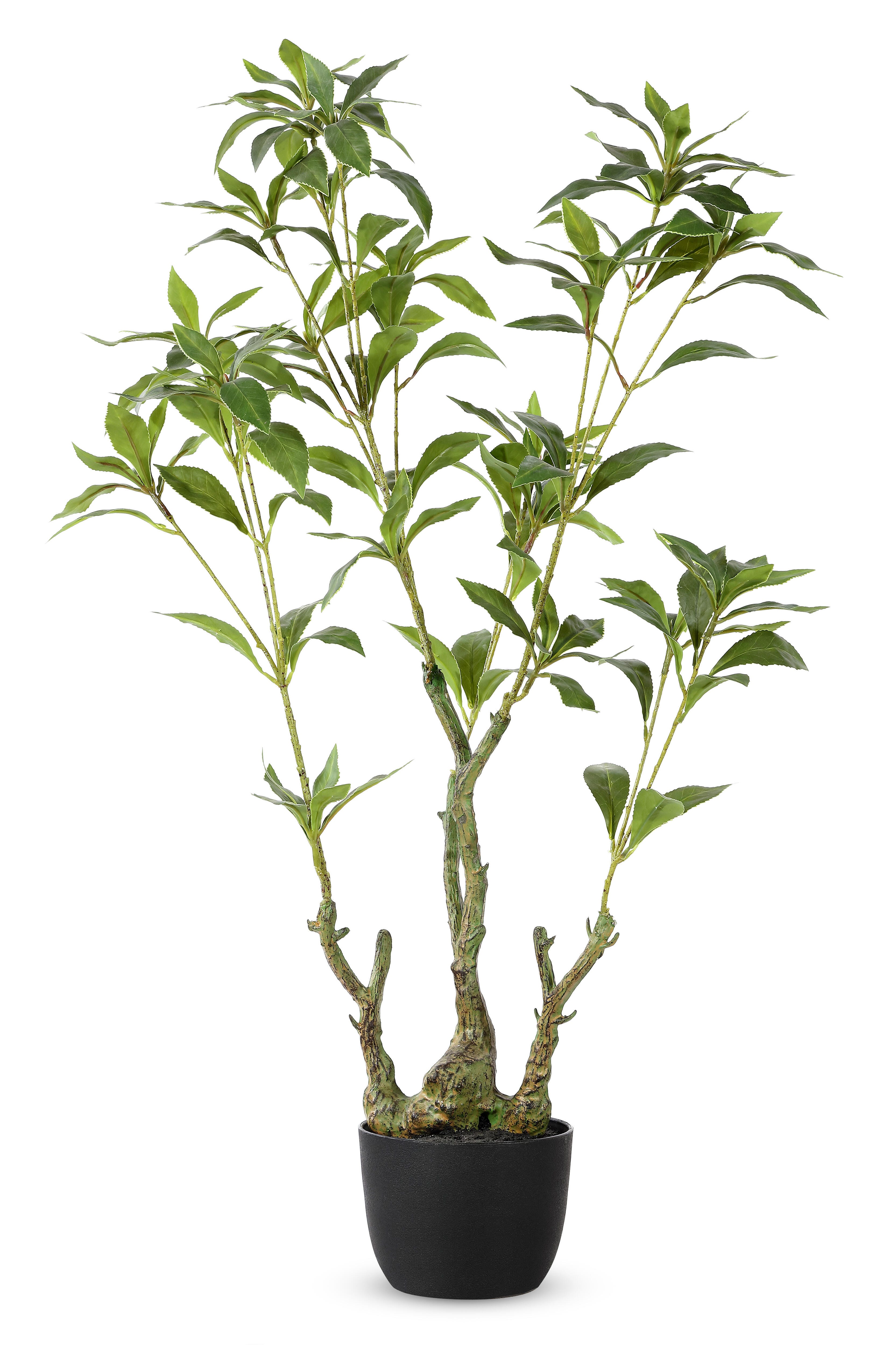 Safavieh Potted Faux Pieris Japonica Plant, , large