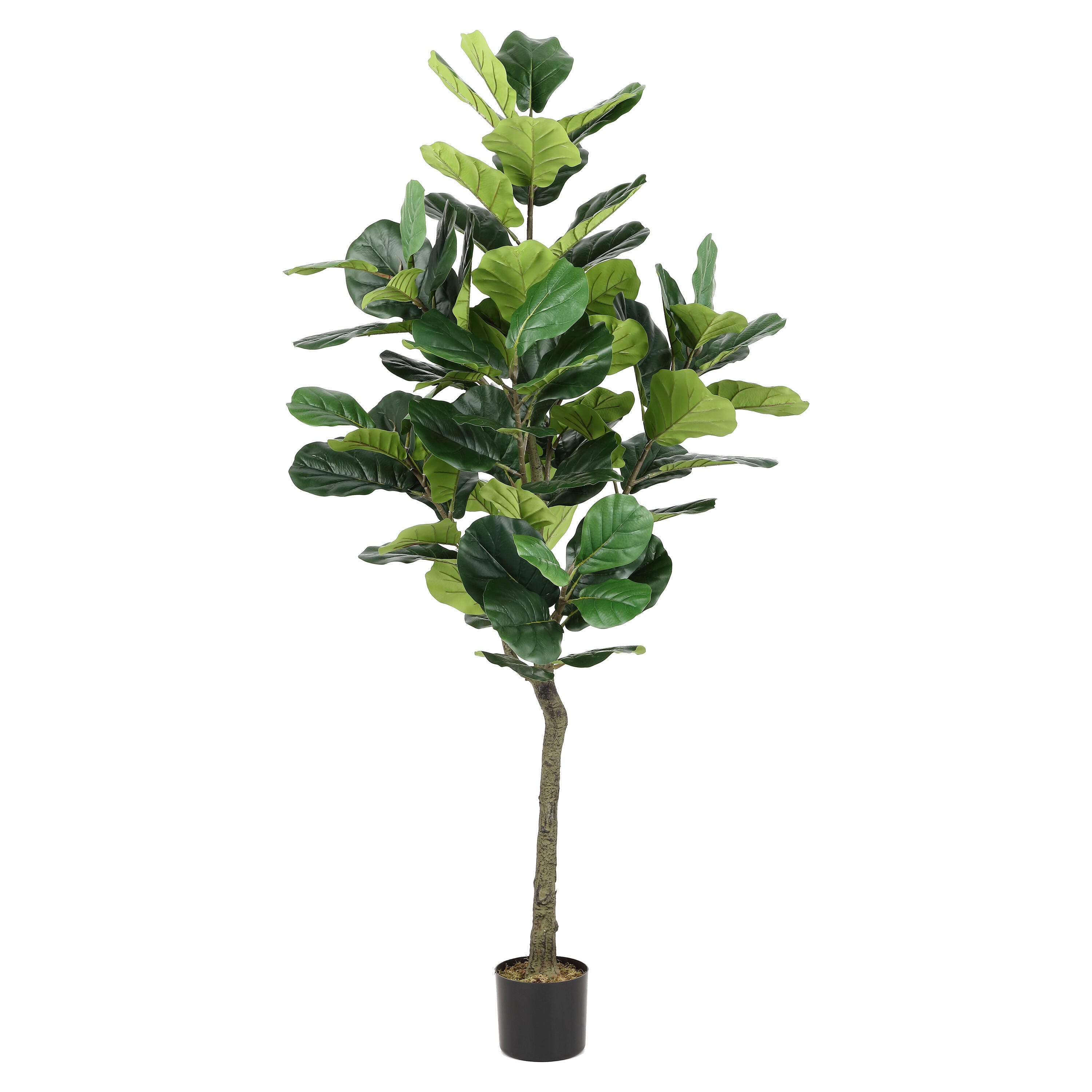 Safavieh Small Potted Faux Fiddle Fig Tree, , large