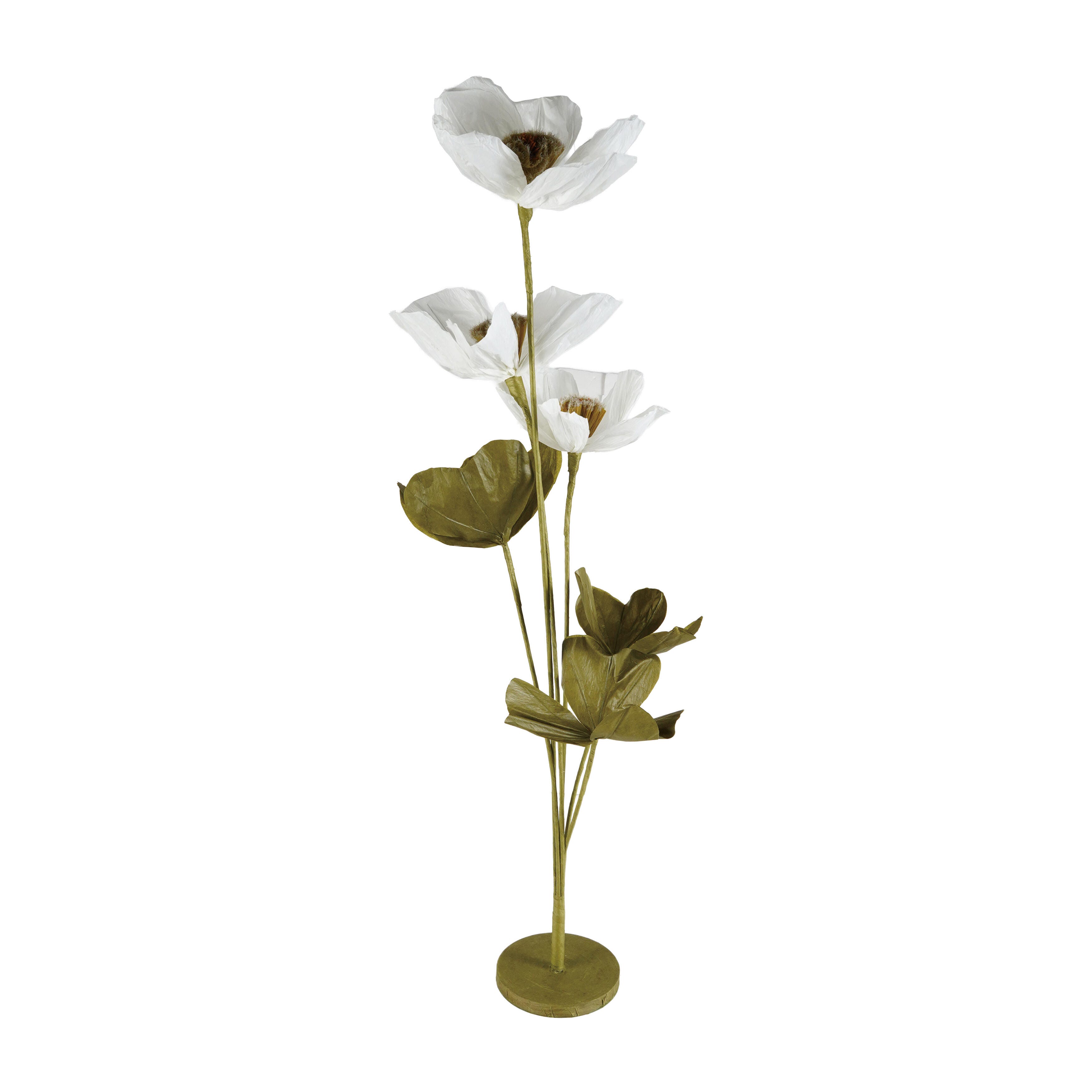 Storied Home Poppy Plant, , large