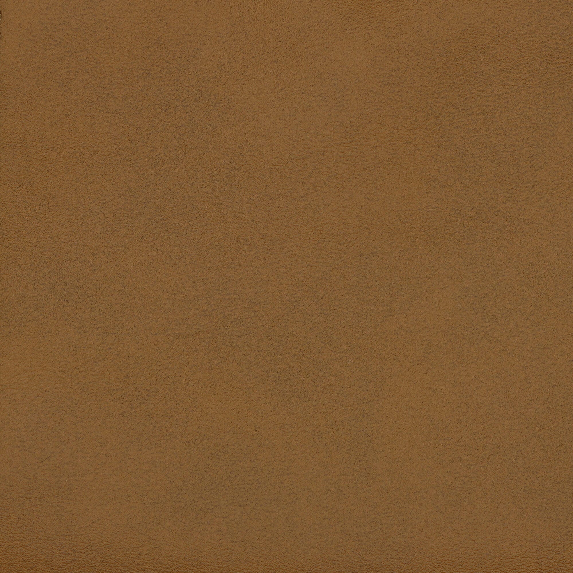 Swatch color Camel 