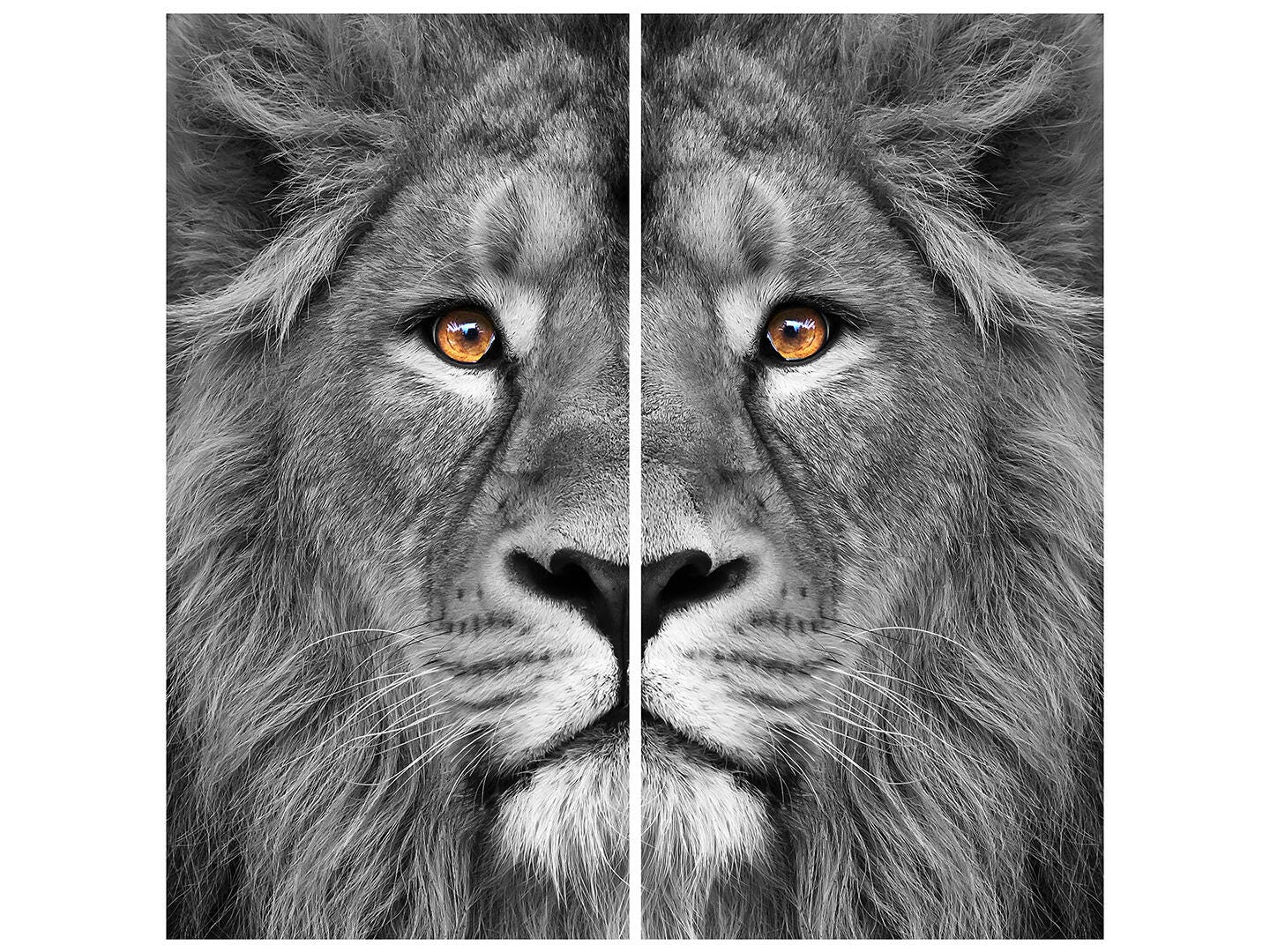 Empire Art Direct Jungle AB Wall Art 72" x 72", , large