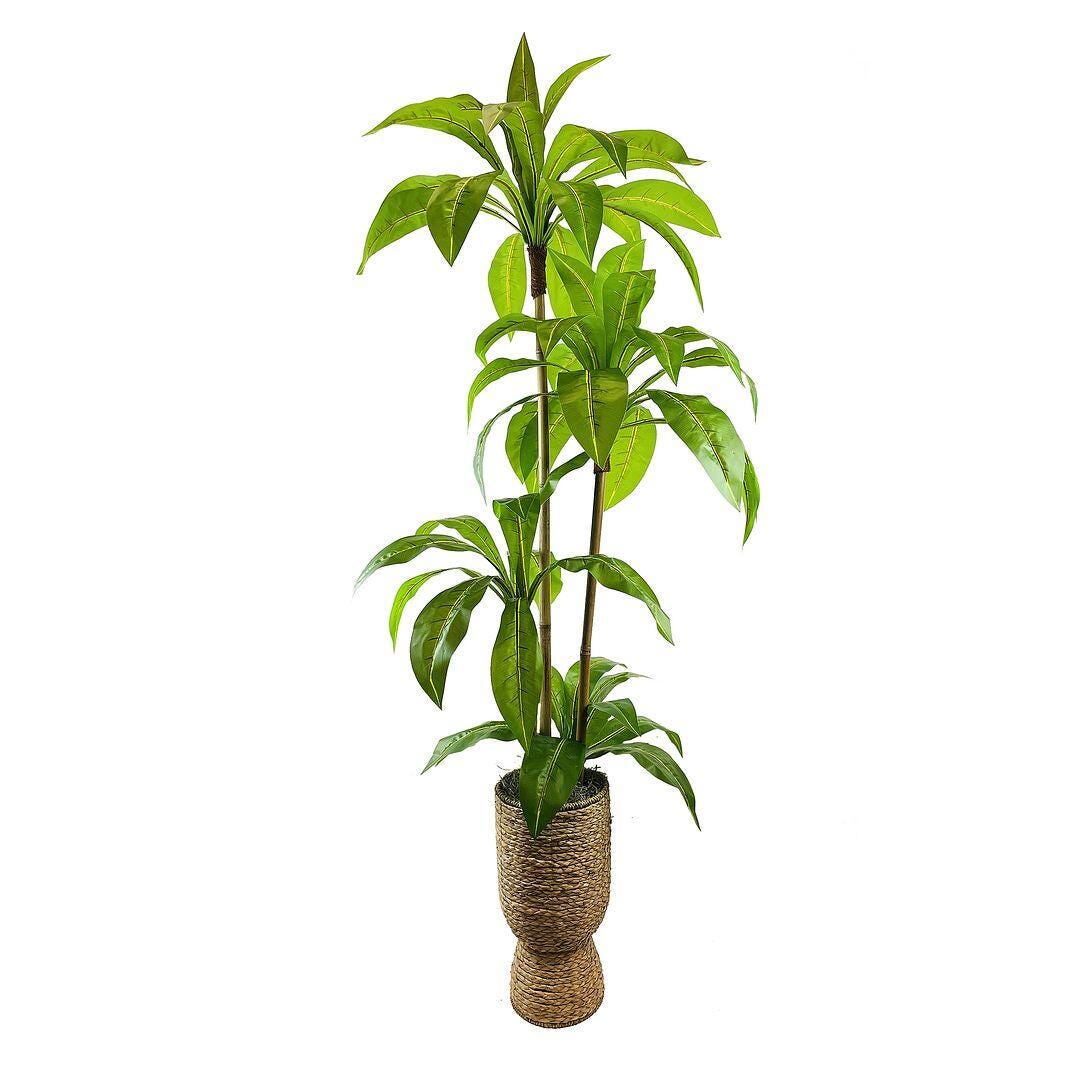 LCG Florals Faux Birdsnest Plant, , large