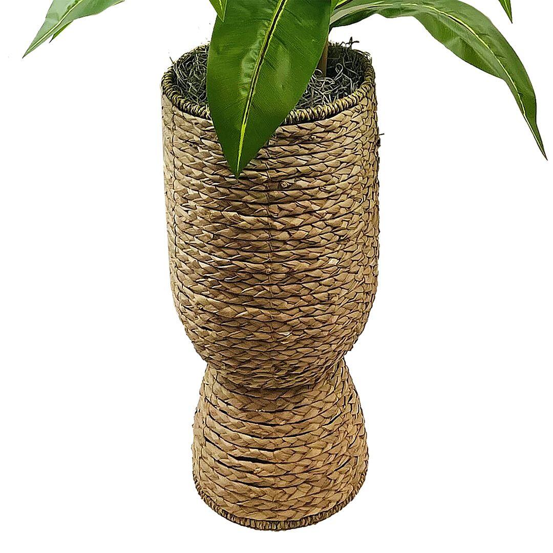 LCG Florals Faux Birdsnest Plant, , large