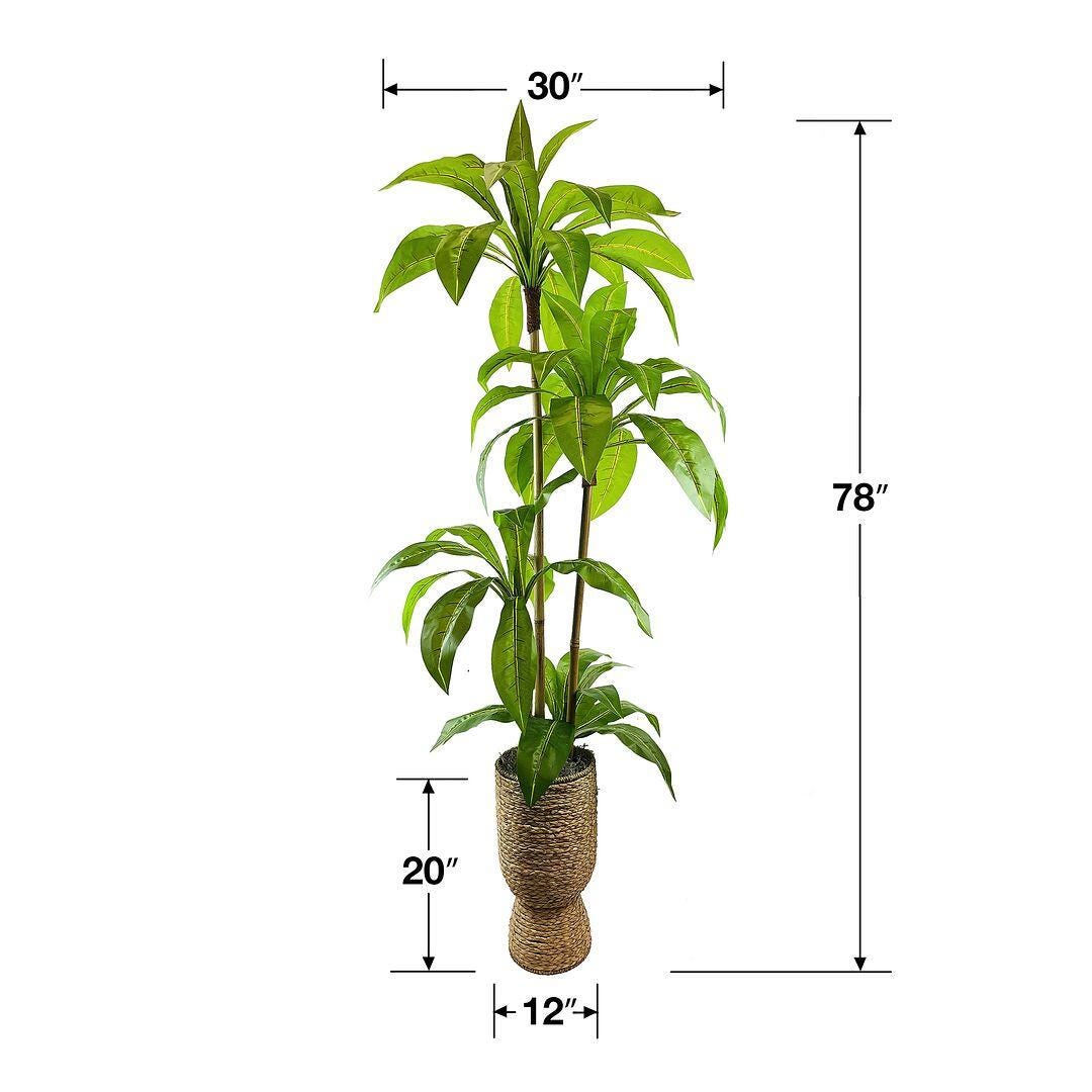 LCG Florals Faux Birdsnest Plant, , large