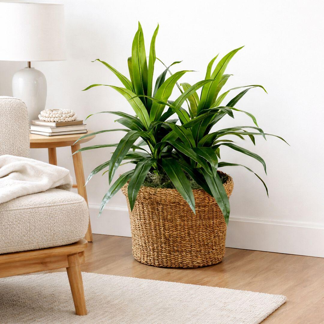 LCG Florals Faux Deluxe Dracaena Plant, , rollover