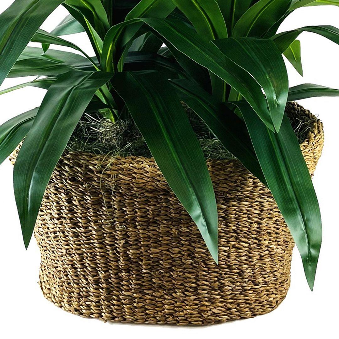 LCG Florals Faux Deluxe Dracaena Plant, , large