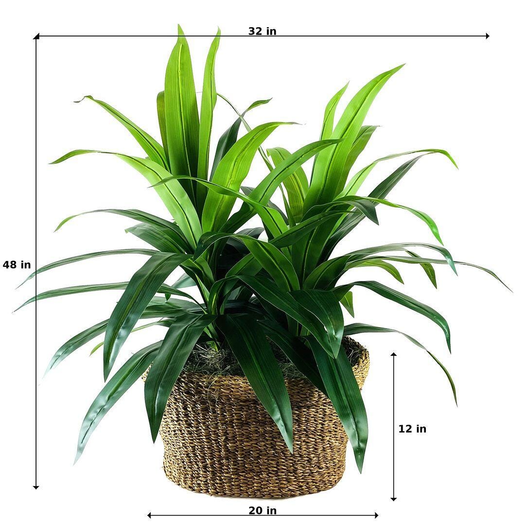 LCG Florals Faux Deluxe Dracaena Plant, , large