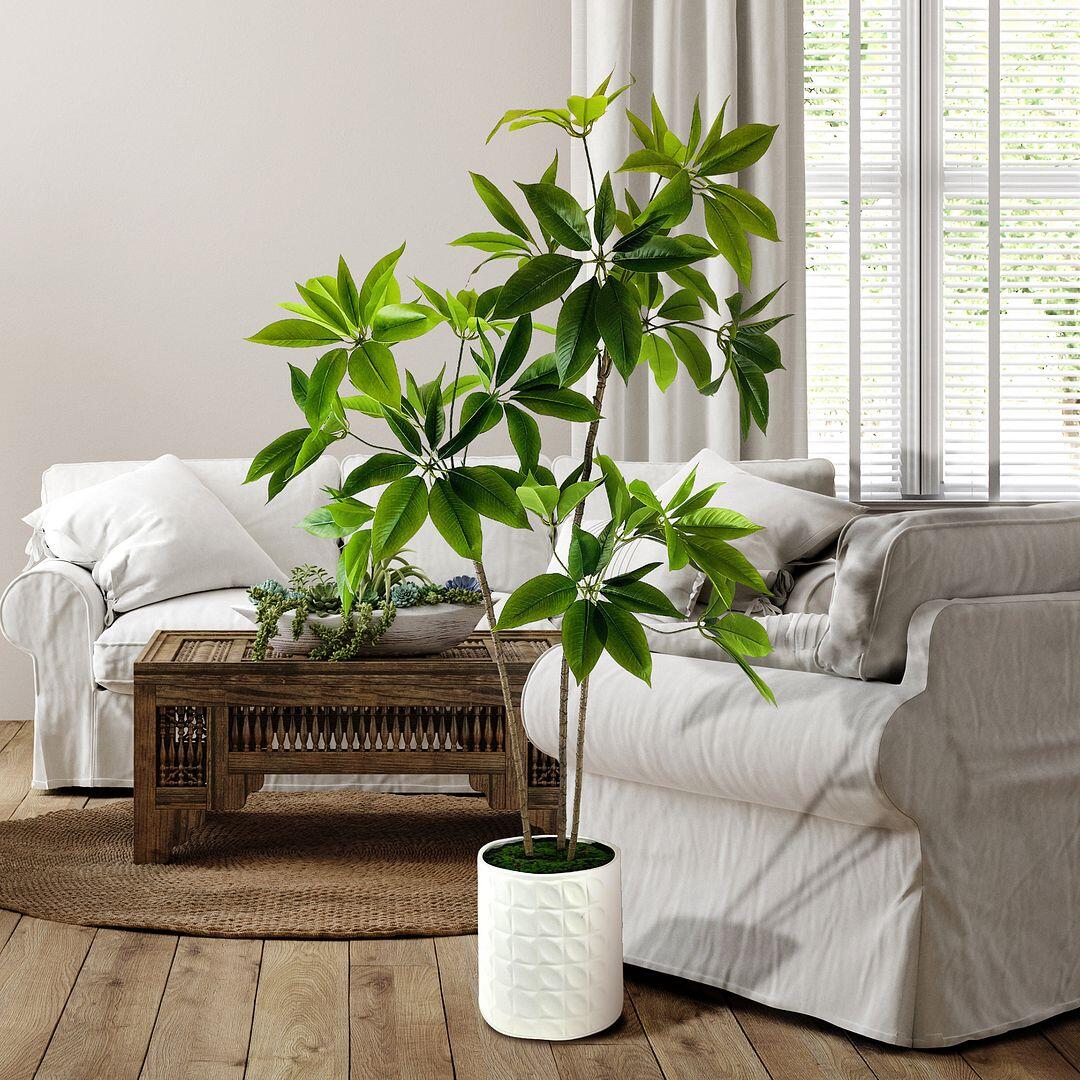 LCG Florals Faux Schefflera Plant, , rollover