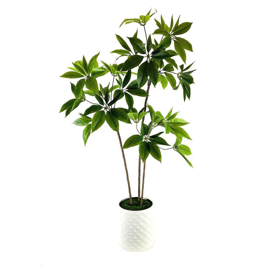 LCG Florals Faux Schefflera Plant, , large