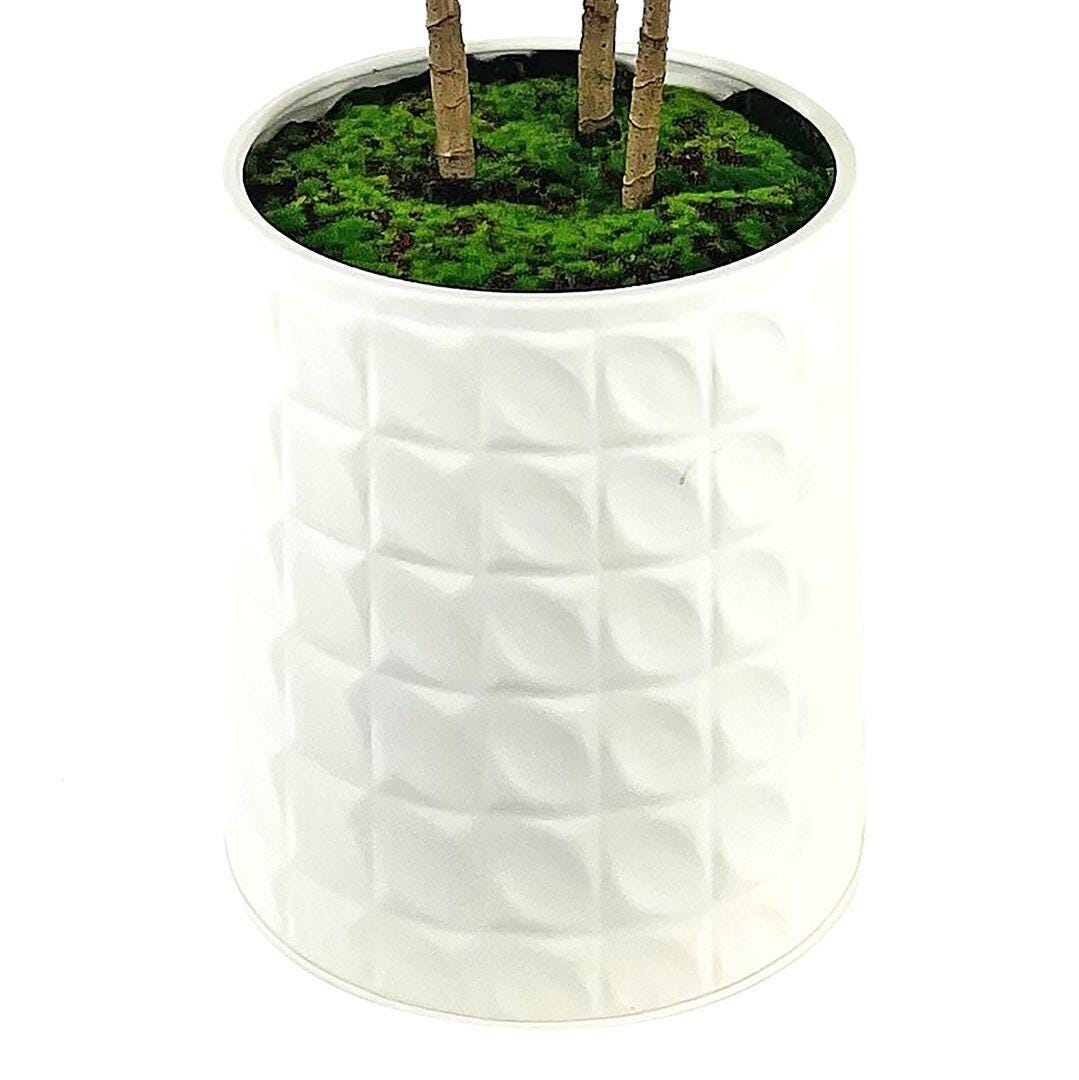 LCG Florals Faux Schefflera Plant, , large