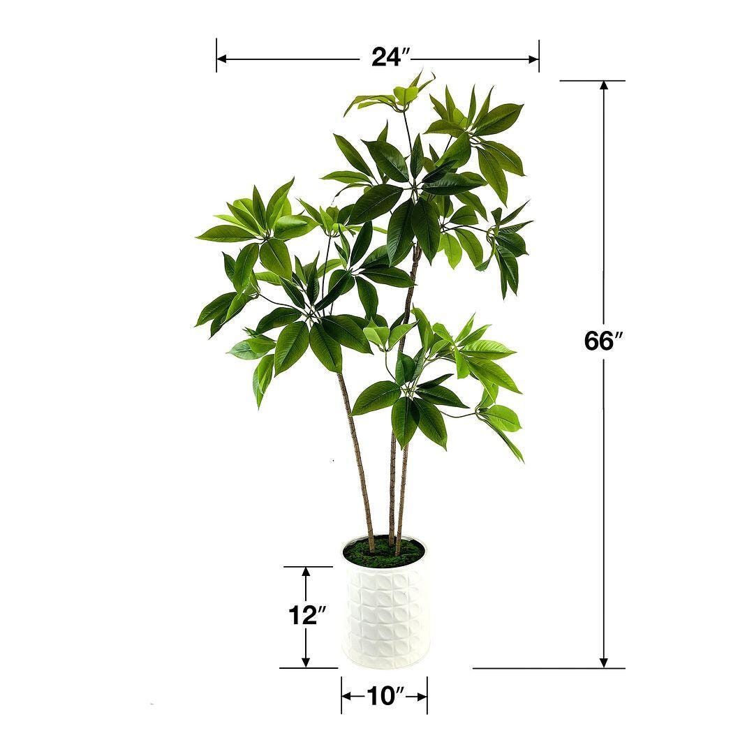 LCG Florals Faux Schefflera Plant, , large