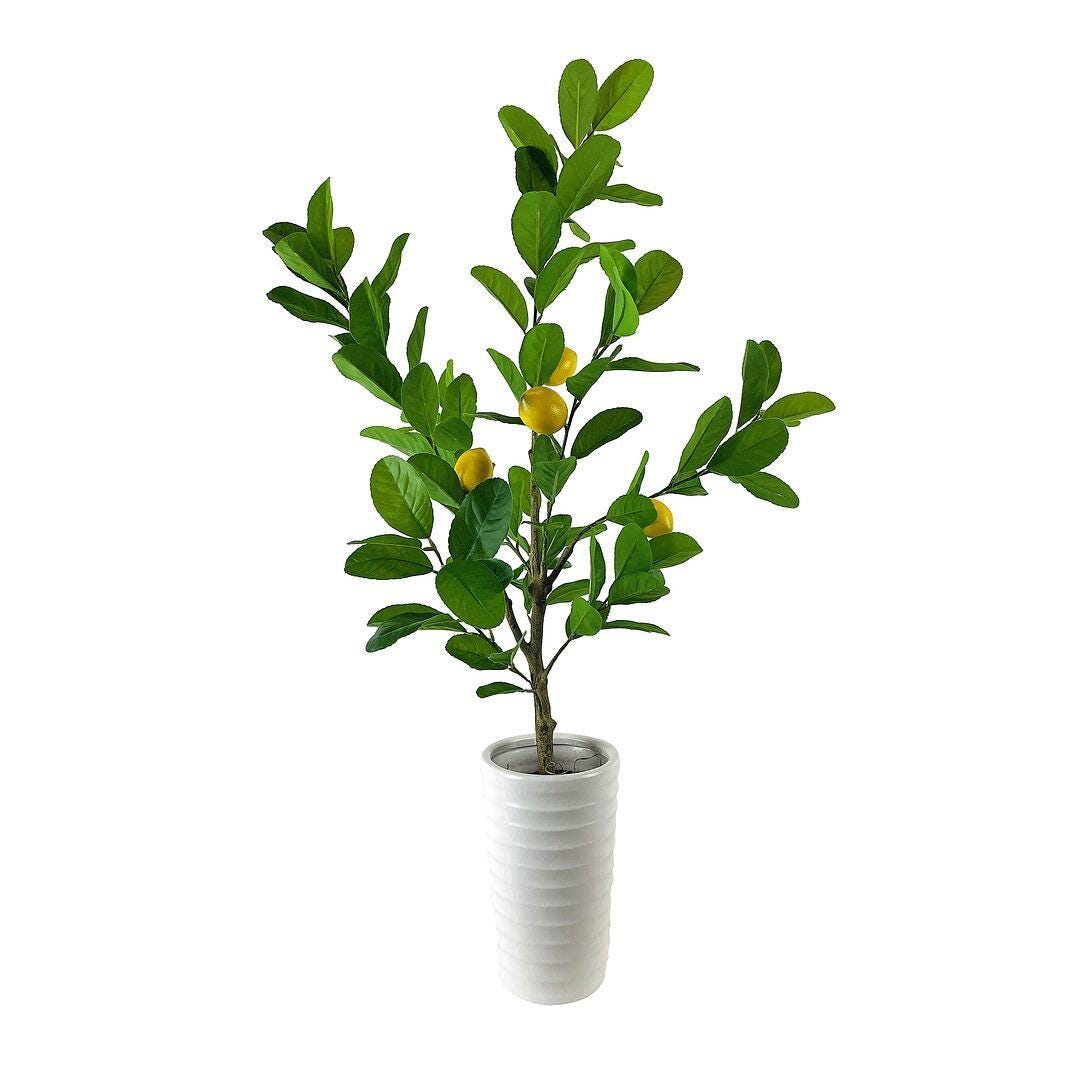 LCG Florals Faux Lemon Plant, , large