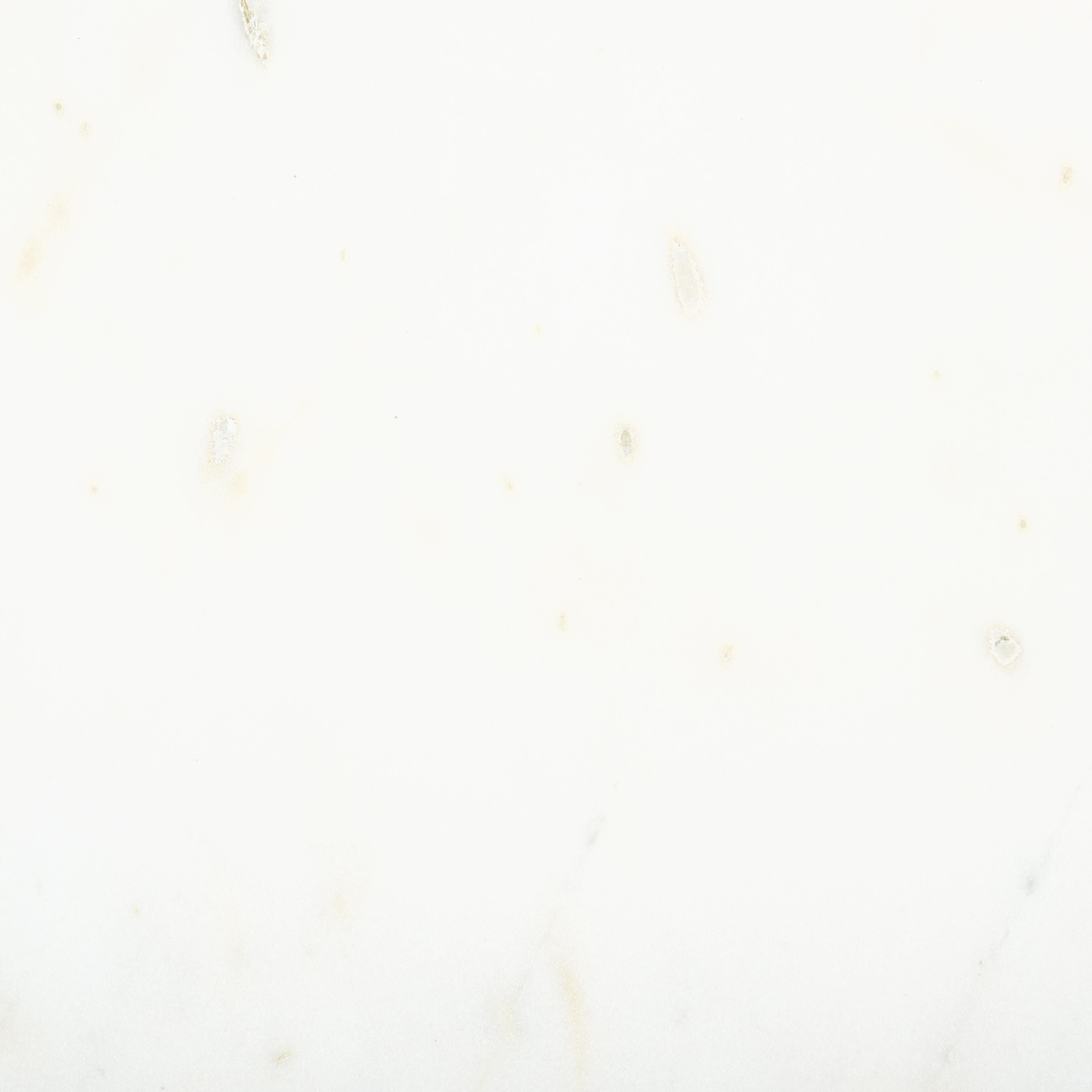 Swatch color Black/Ivory 