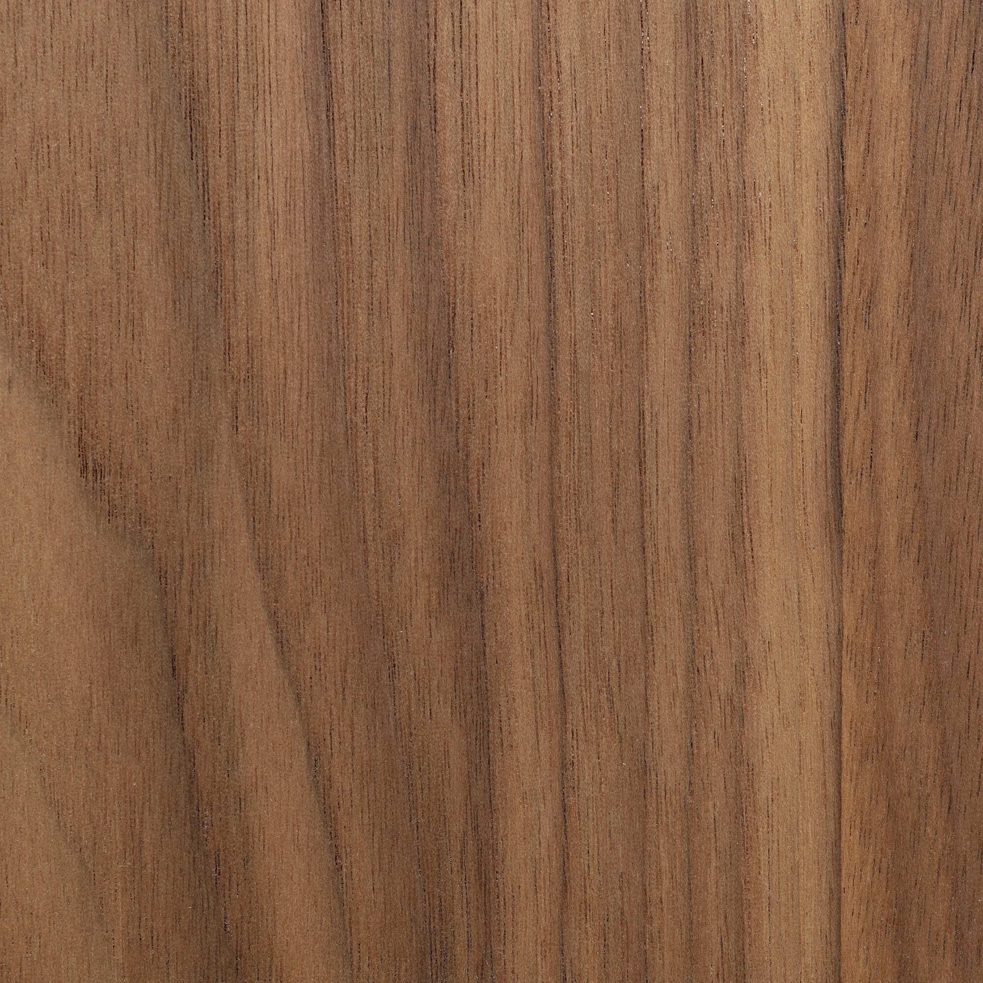 Swatch color Walnut 