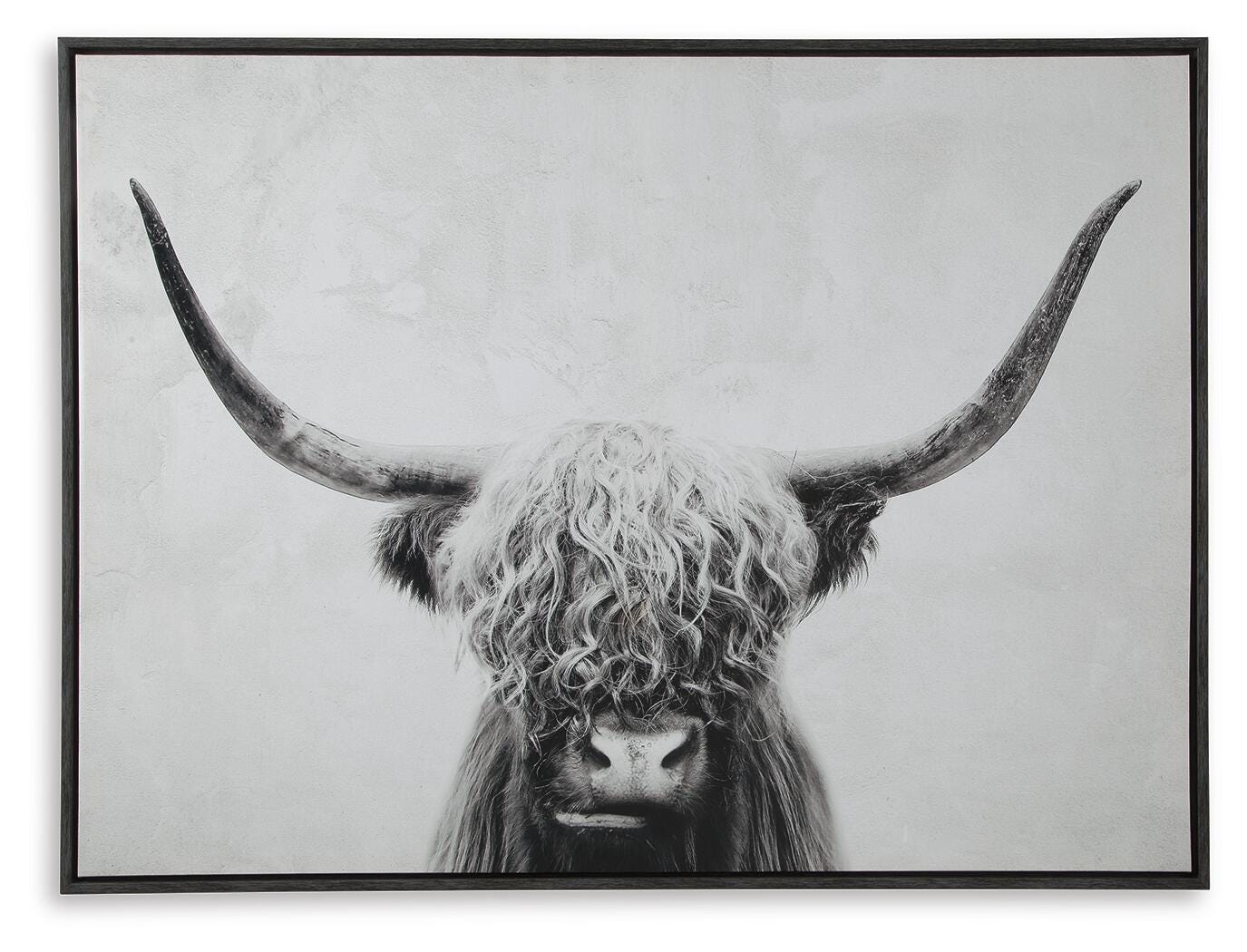 Pancho Wall Art, , large